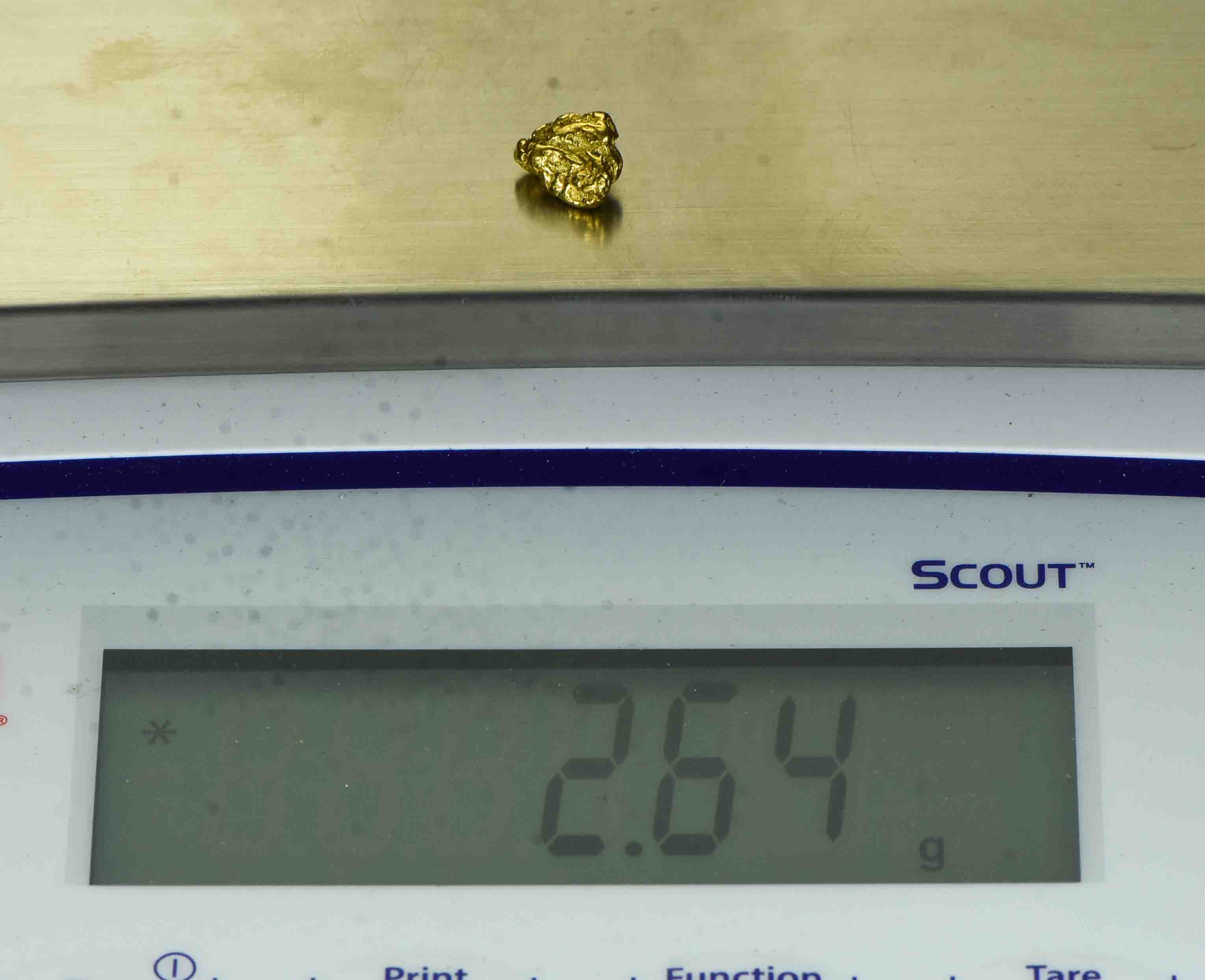 #188 Alaskan BC Natural Gold Nugget 2.64 Grams Genuine