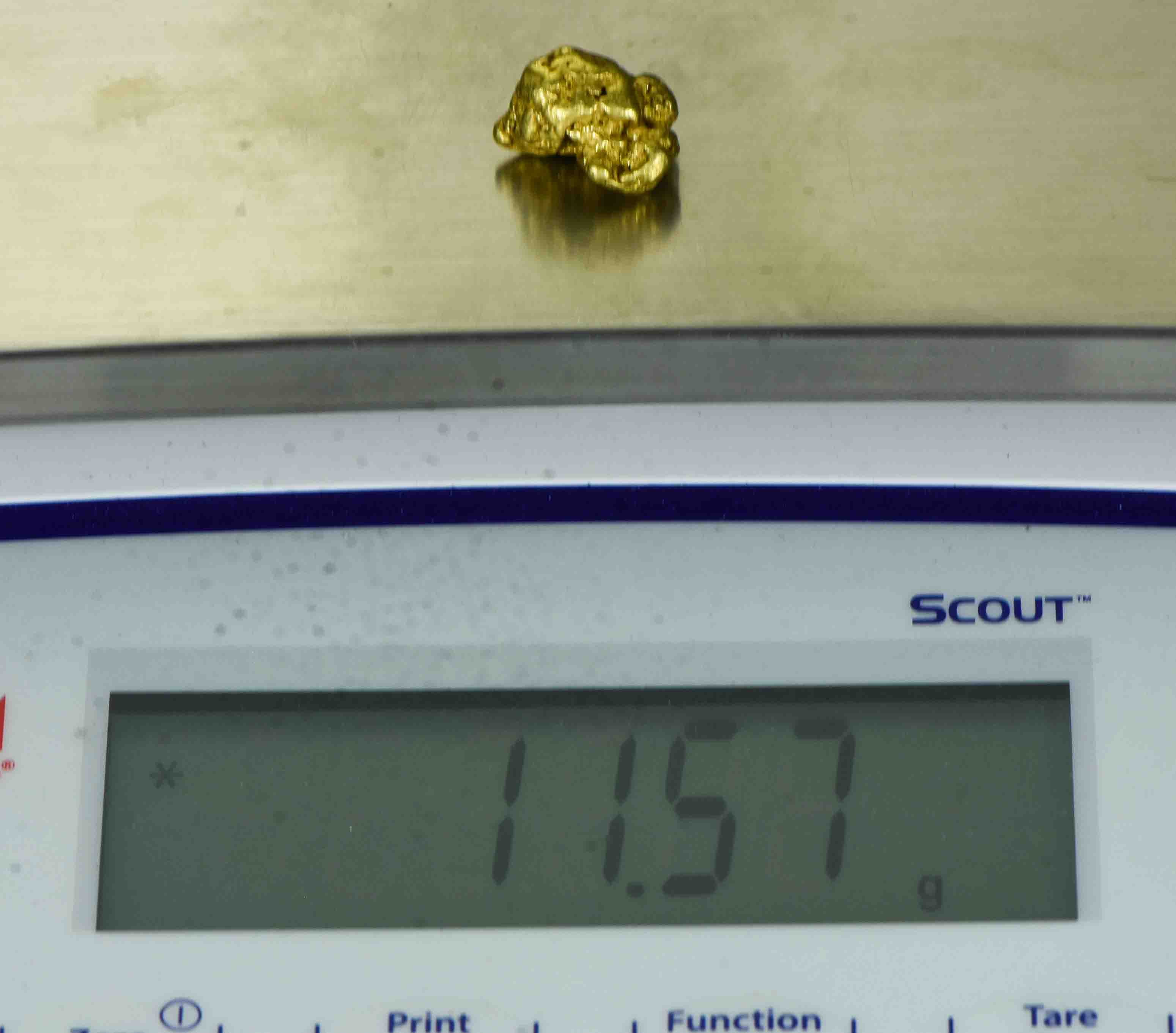 #414 Alaskan BC Natural Gold Nugget 11.57 Grams Genuine