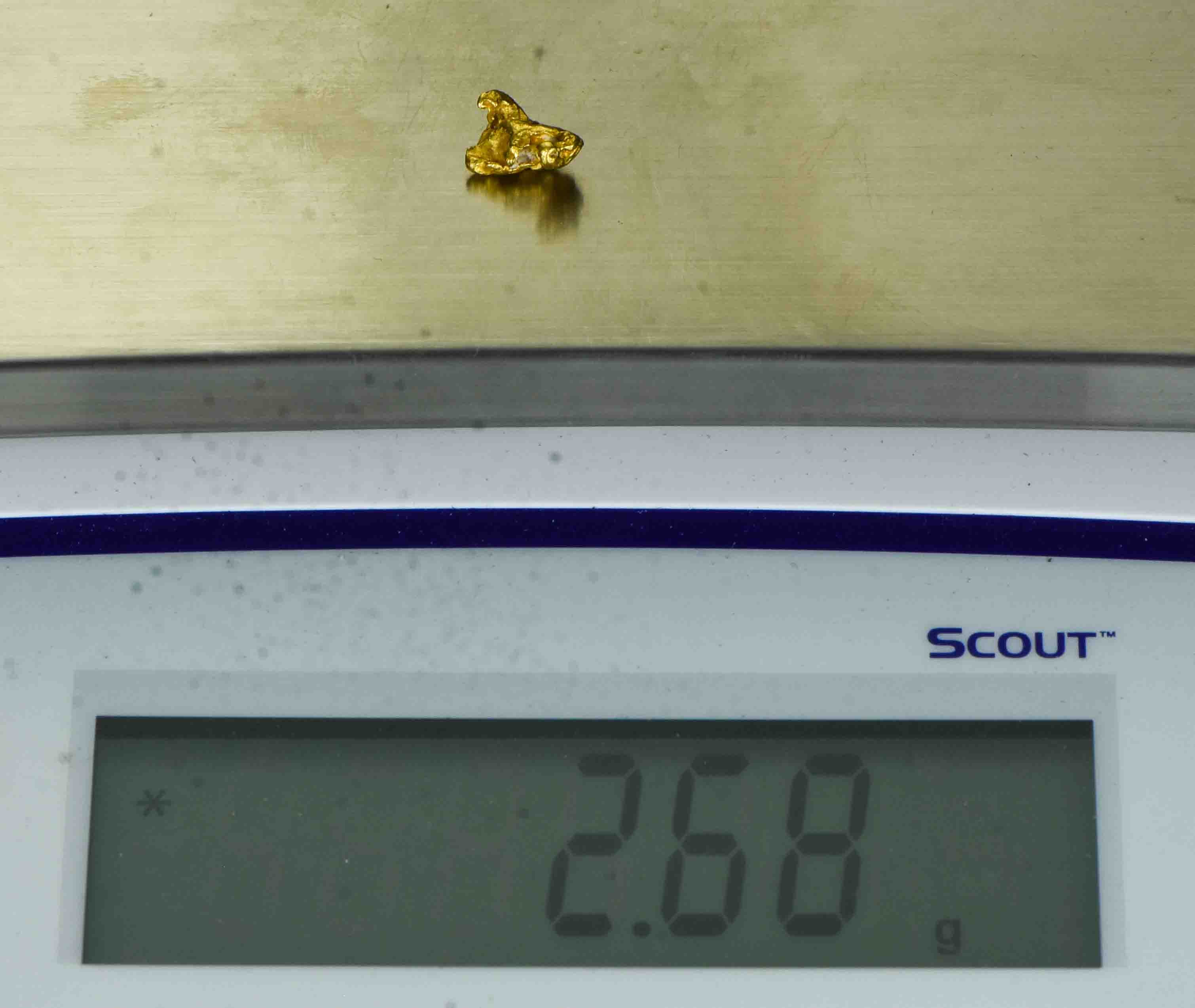 #1043 Natural Gold Nugget Australian 2.68 Grams Genuine