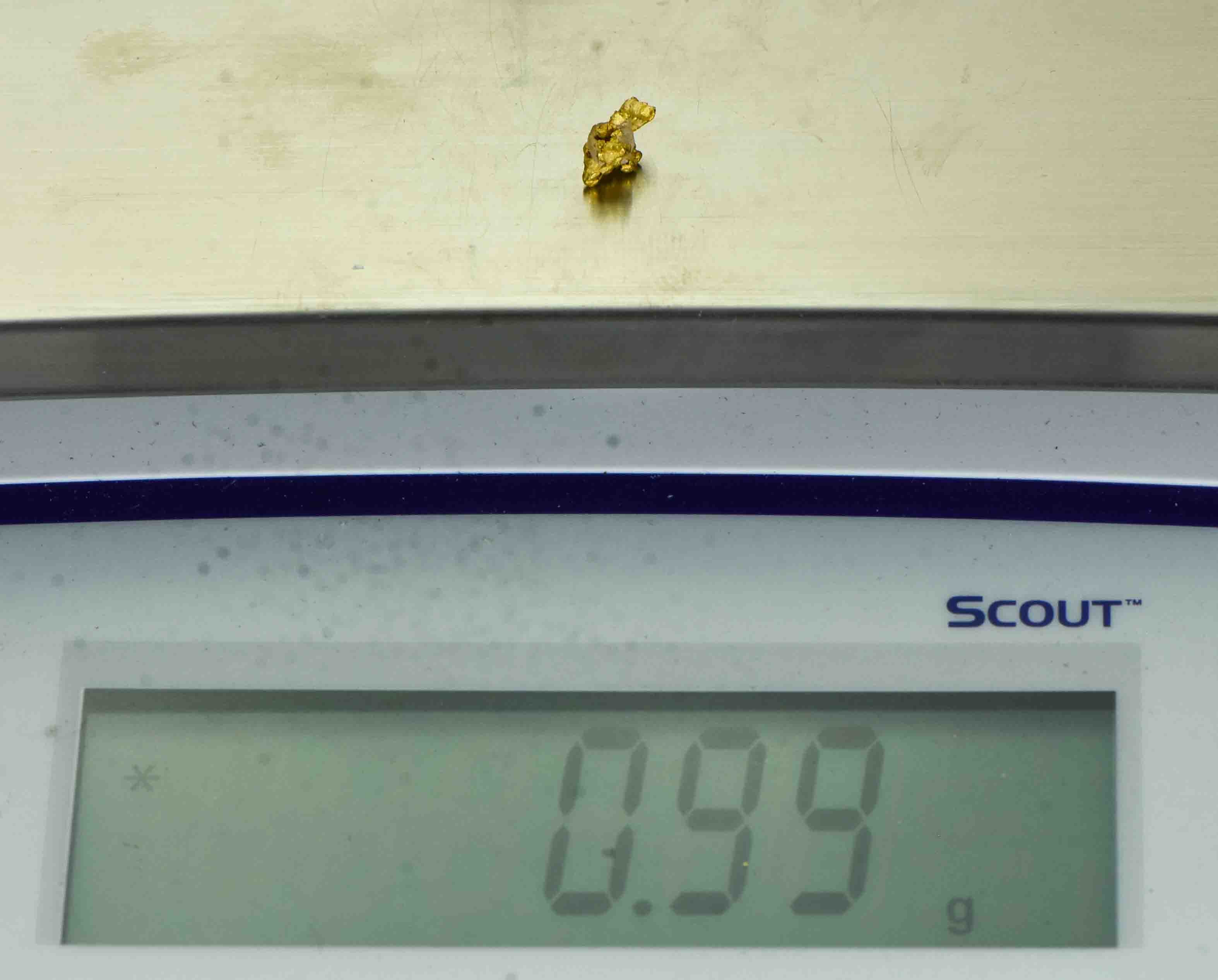 #6 Australian Natural Gold Nugget With Quartz Weighs .99 Grams.