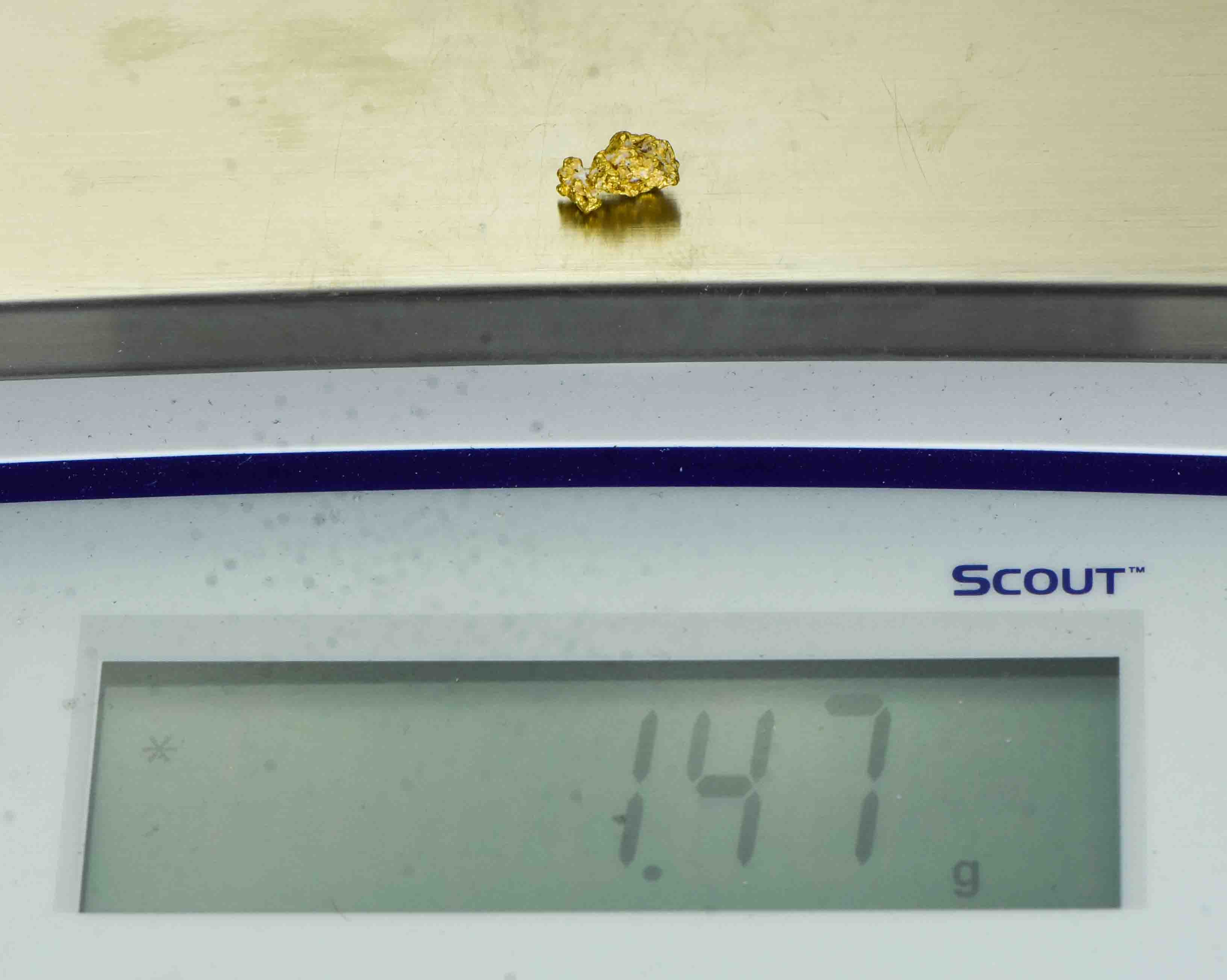 #17 Australian Natural Gold Nugget With Quartz Weighs 1.47 Grams.