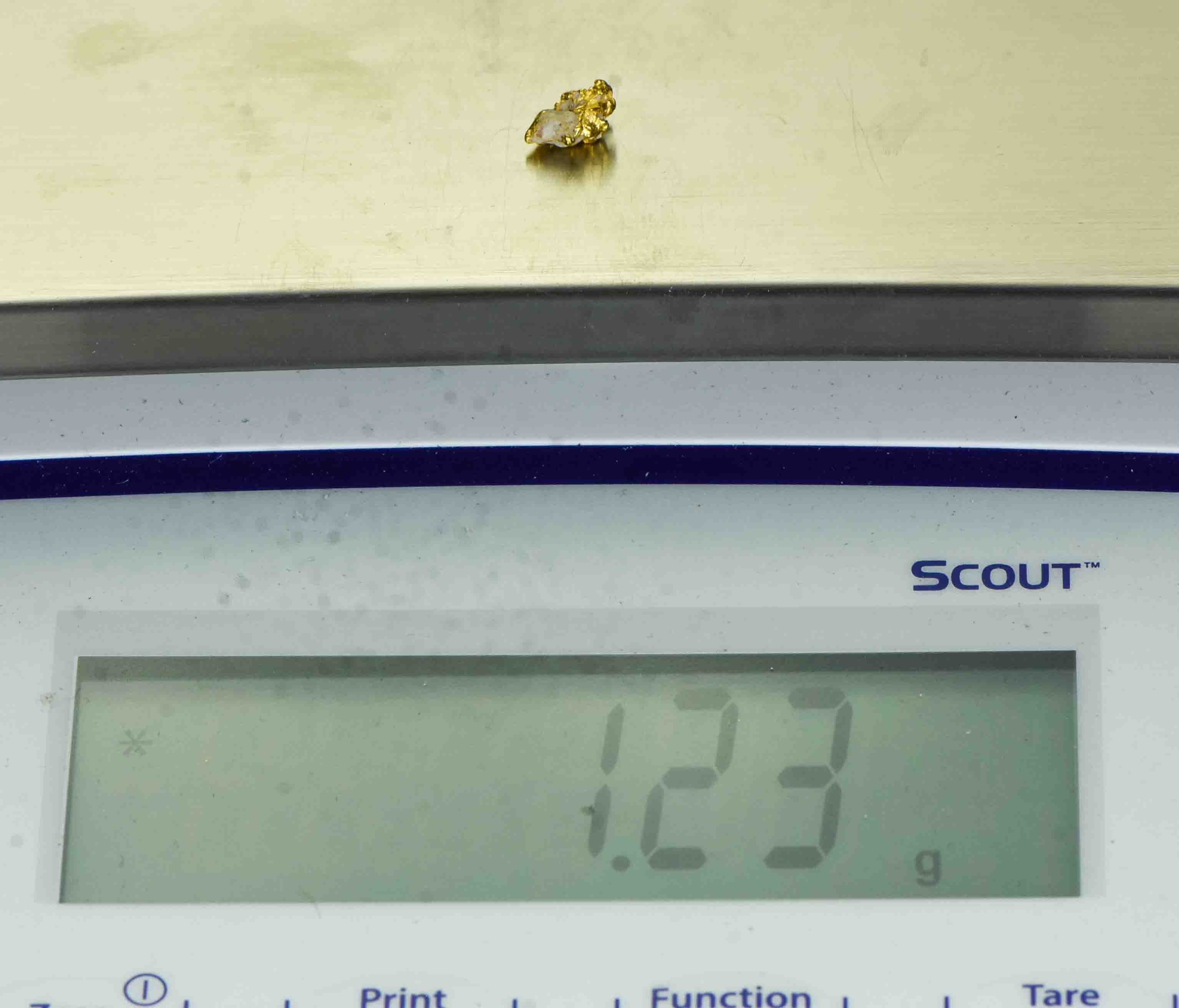 #33 Australian Natural Gold Nugget With Quartz Weighs 1.23 Grams.