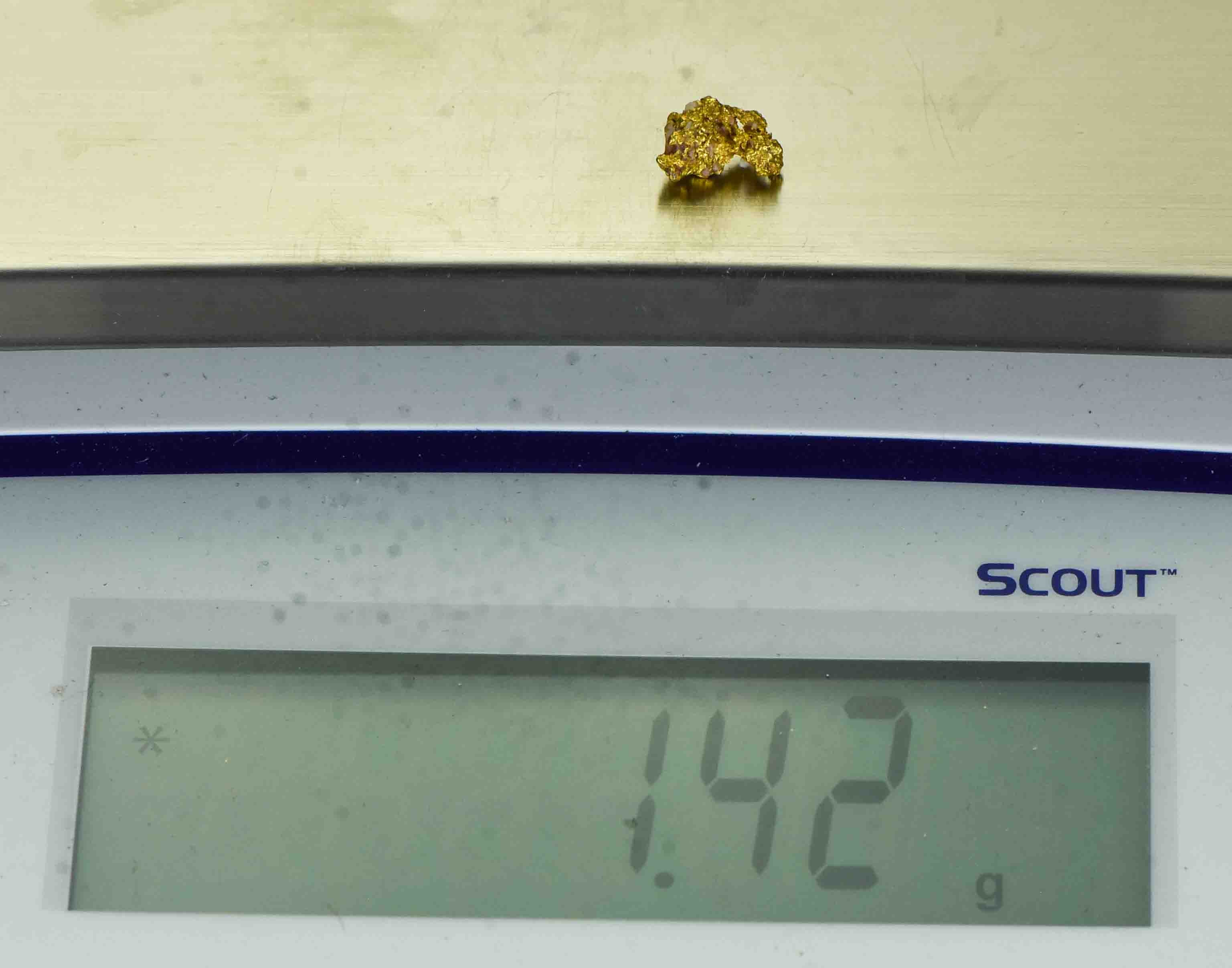 #34 Australian Natural Gold Nugget With Quartz Weighs 1.42 Grams.