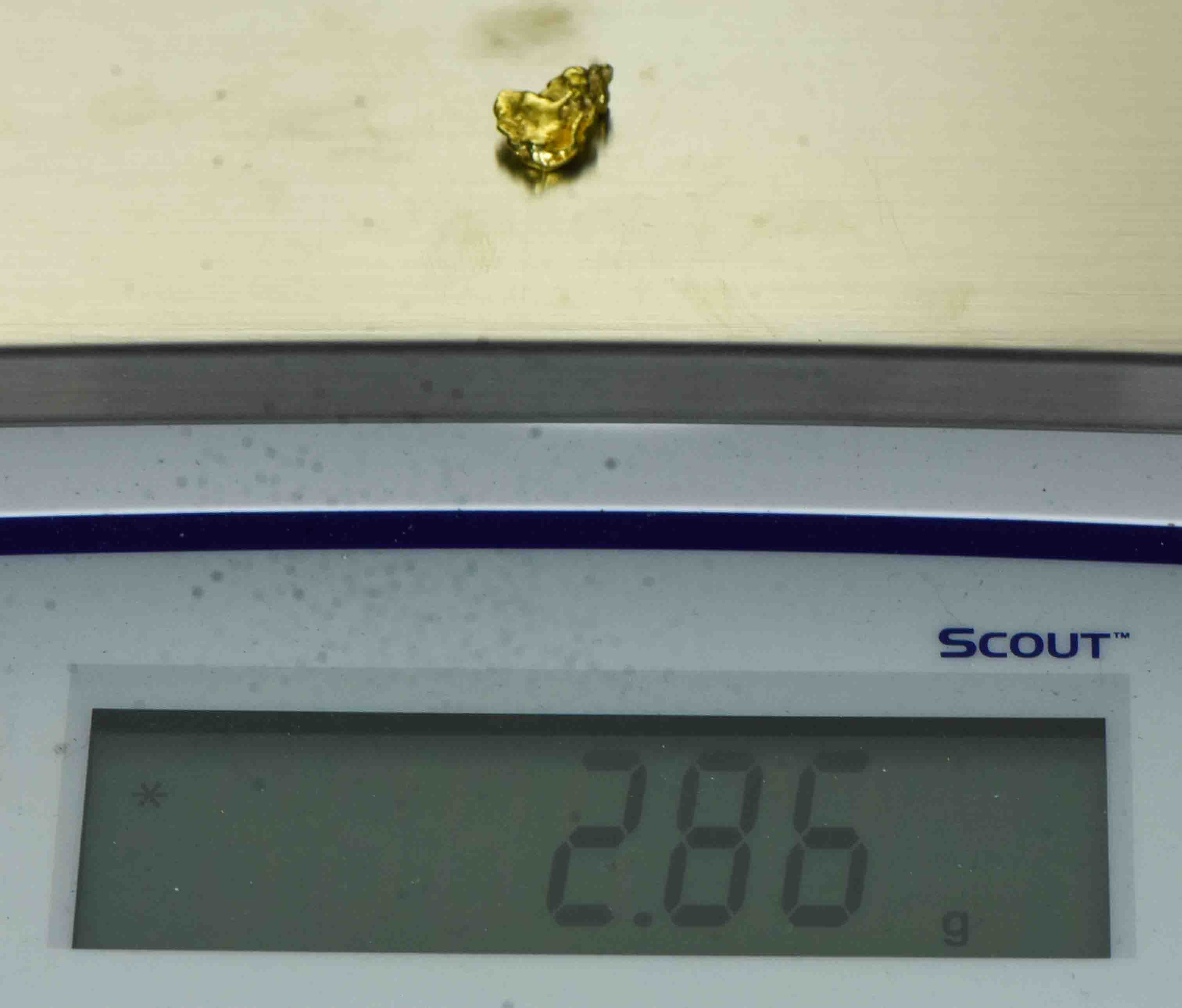 #198 Alaskan BC Natural Gold Nugget 2.86 Grams Genuine