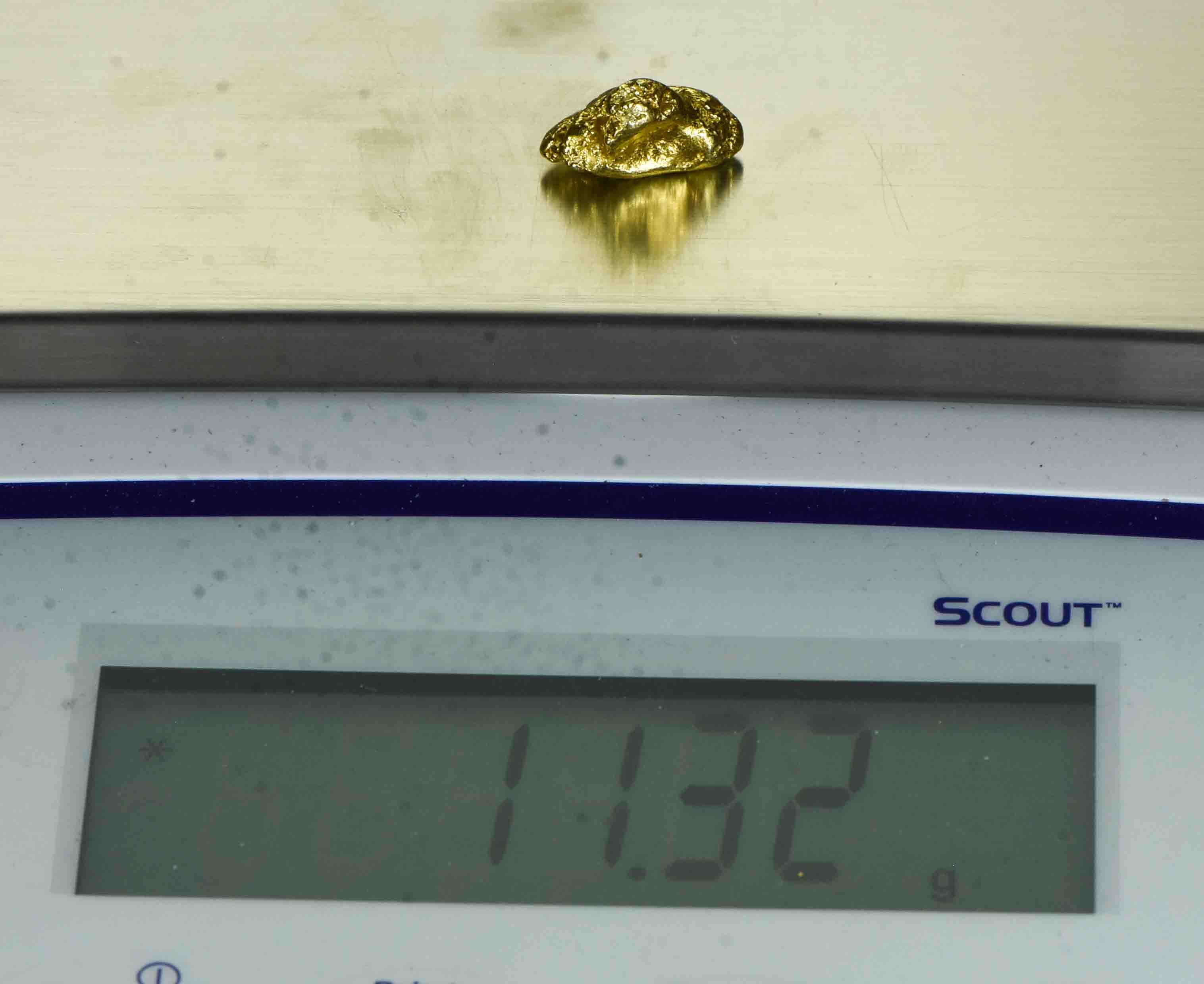 #391 Alaskan BC Natural Gold Nugget 11.32 Grams Genuine