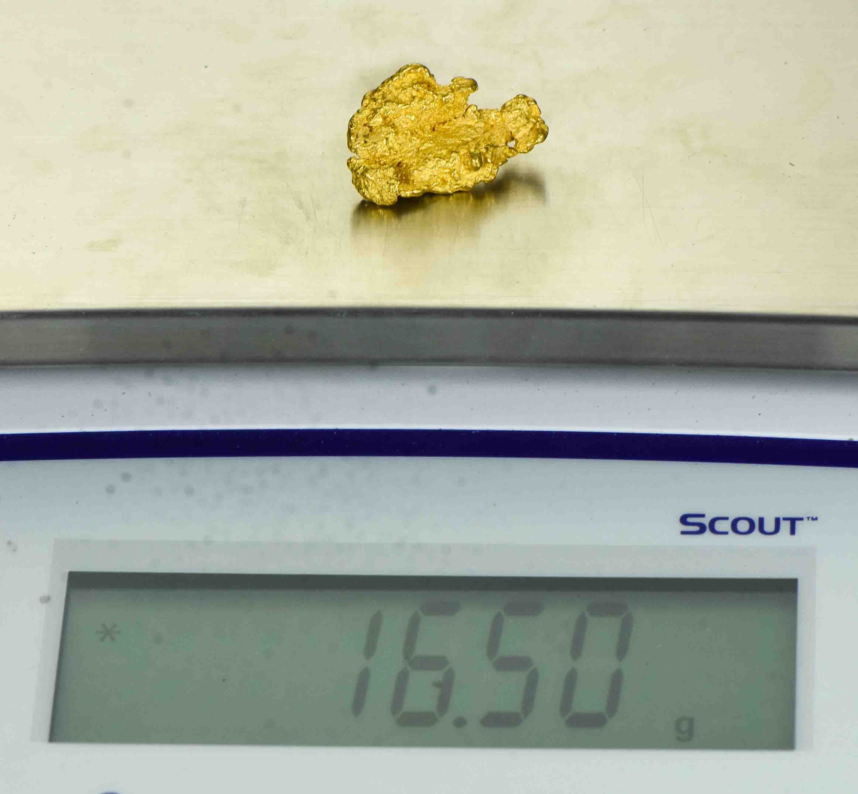 #1117 Natural Gold Nugget Australian 16.50 Grams Genuine