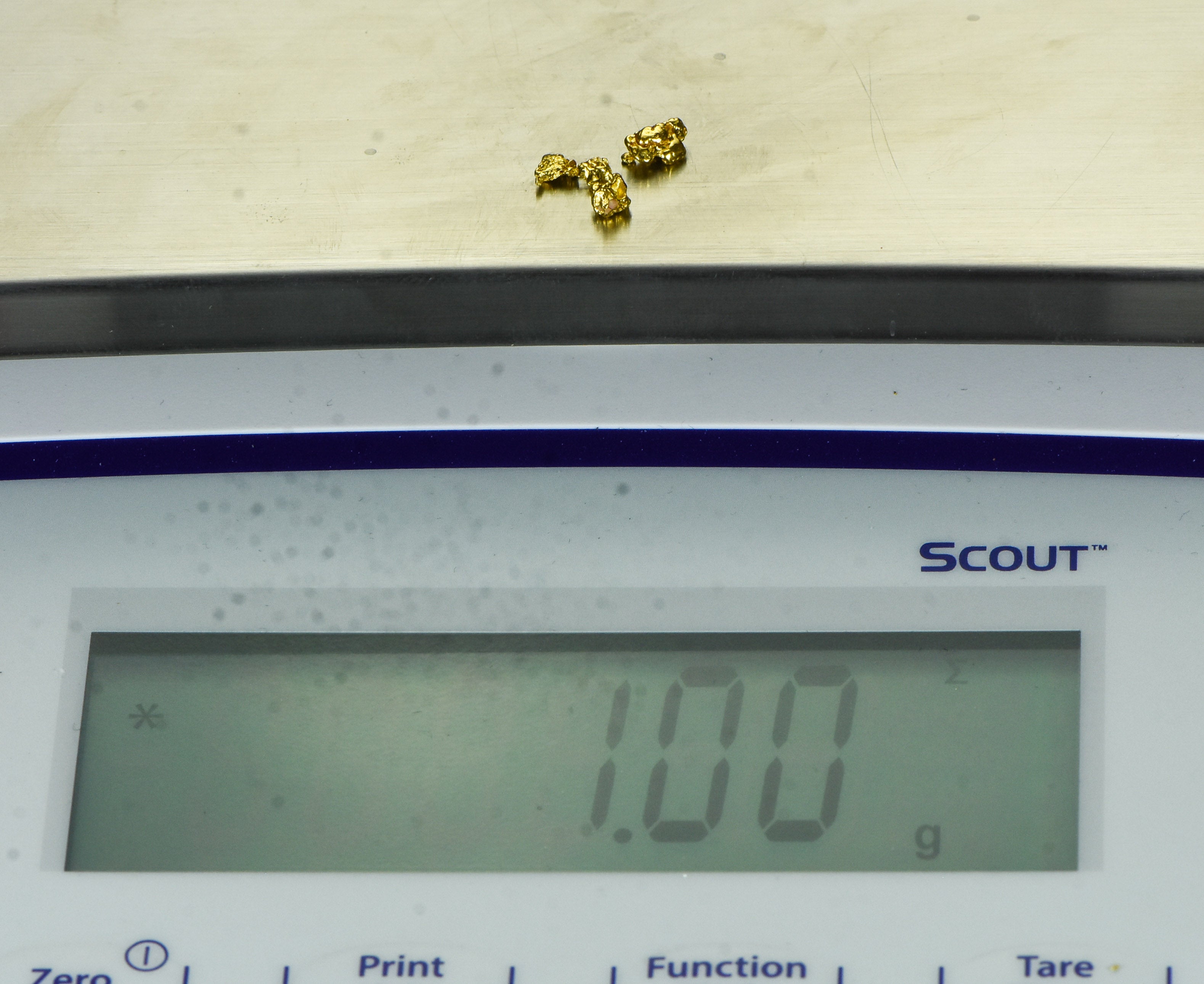 Australian #8 Mesh 1-Gram Natural Gold Nugget