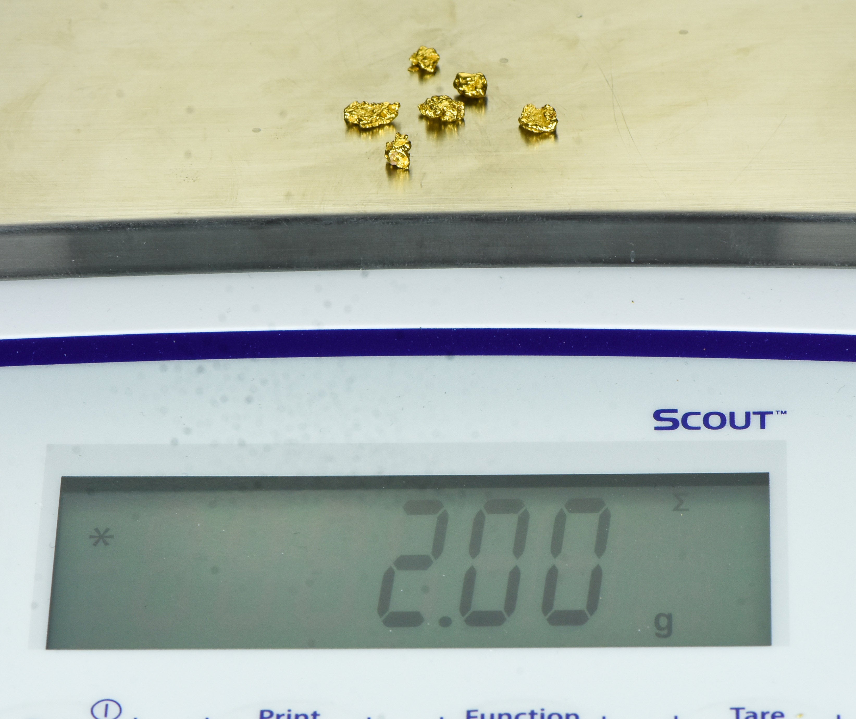 Australian #8 Mesh 2-Gram Natural Gold Nugget
