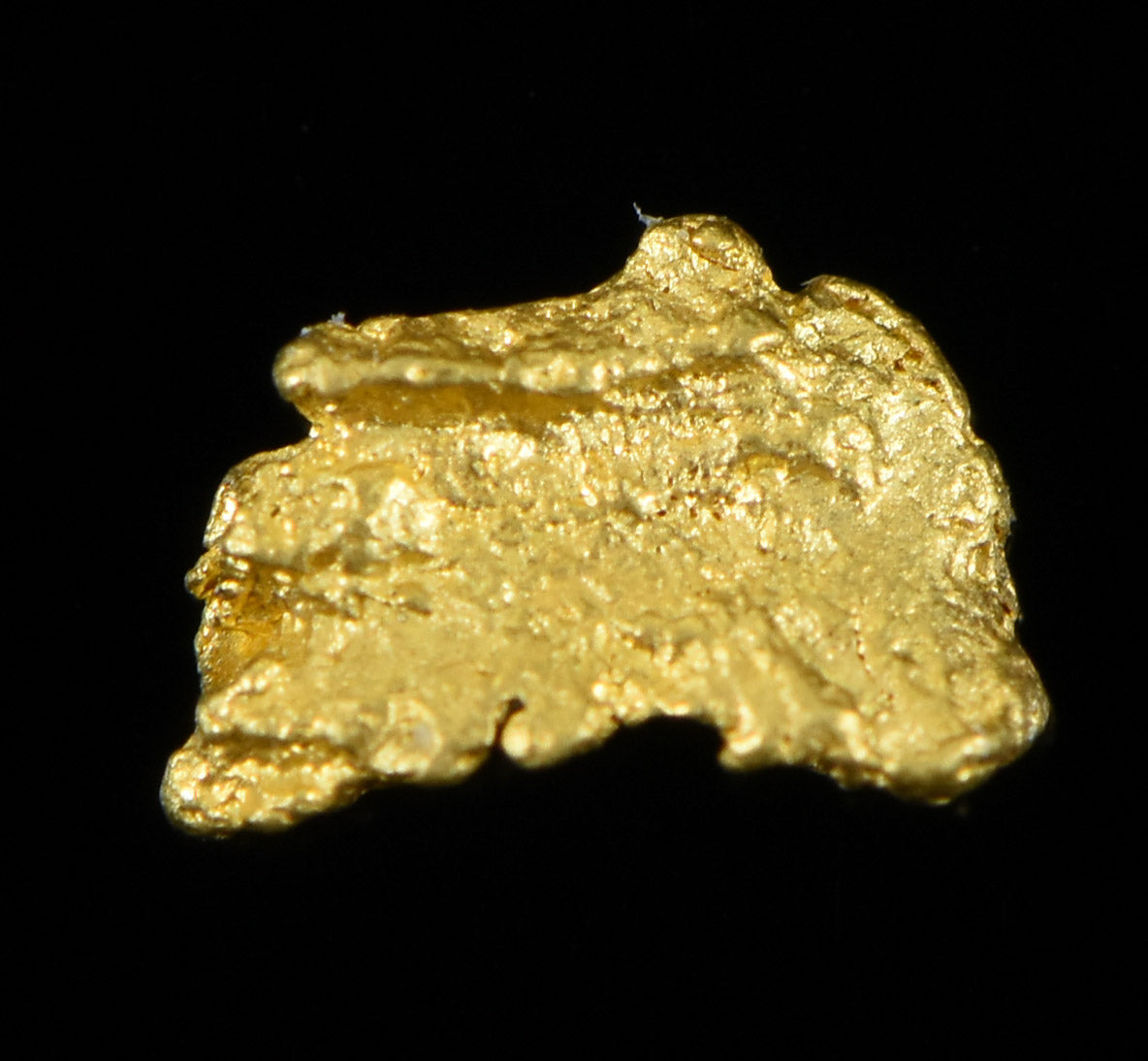 Natural Gold Nugget Australian .13 Gram Genuine