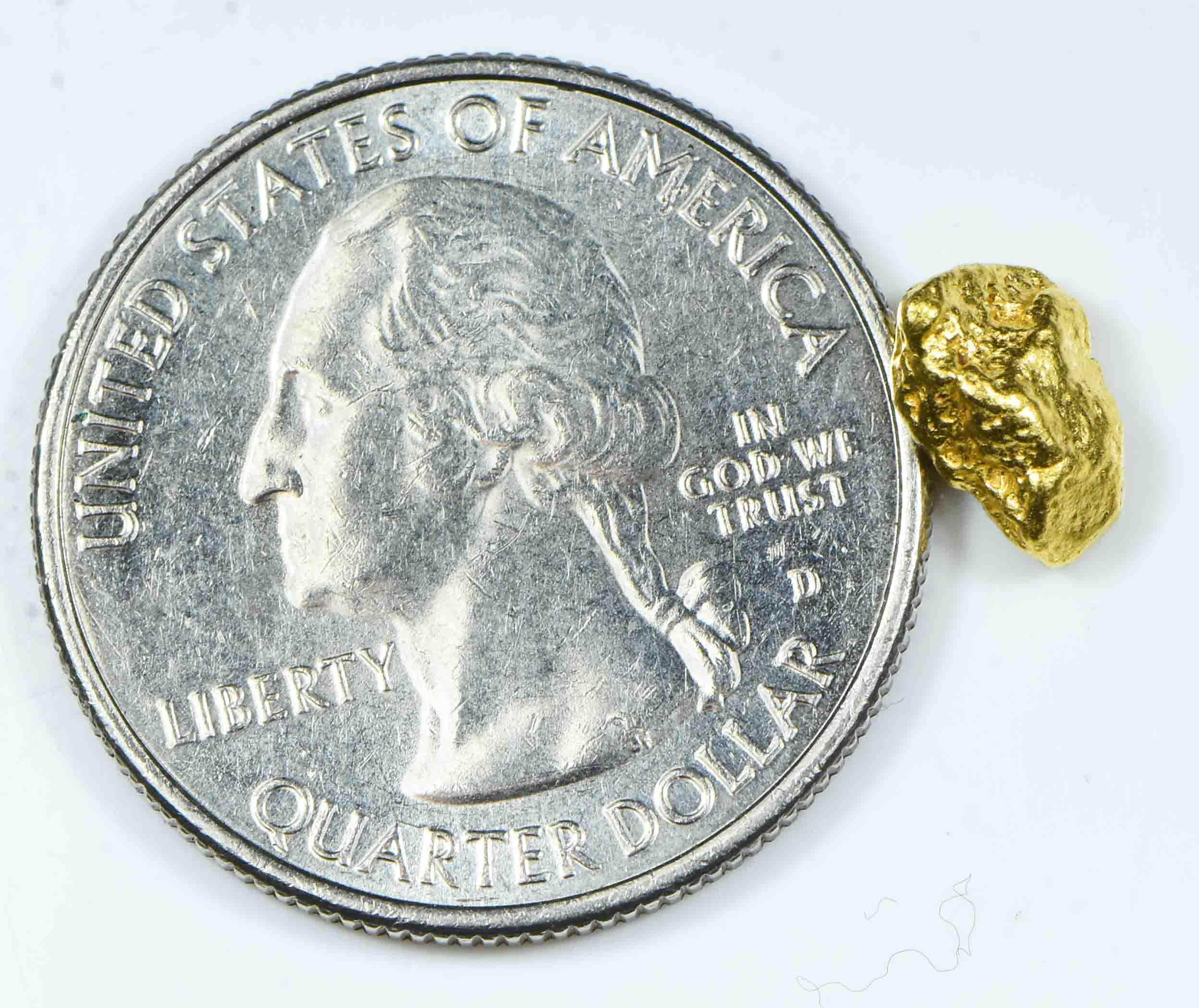 #31 Natural Gold Nugget Montana 1.56 Grams Genuine