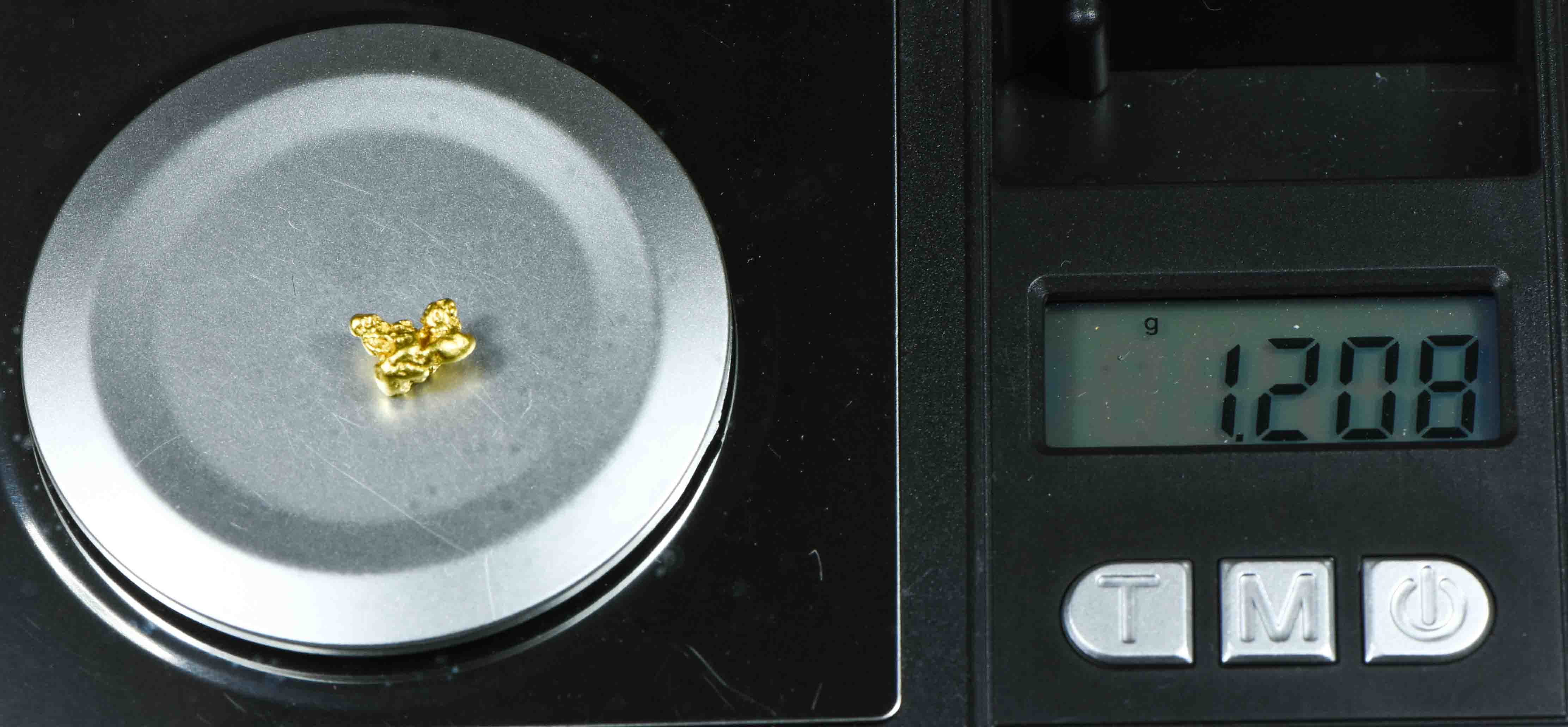 #80 Natural Gold Nugget Montana 1.20 Grams Genuine