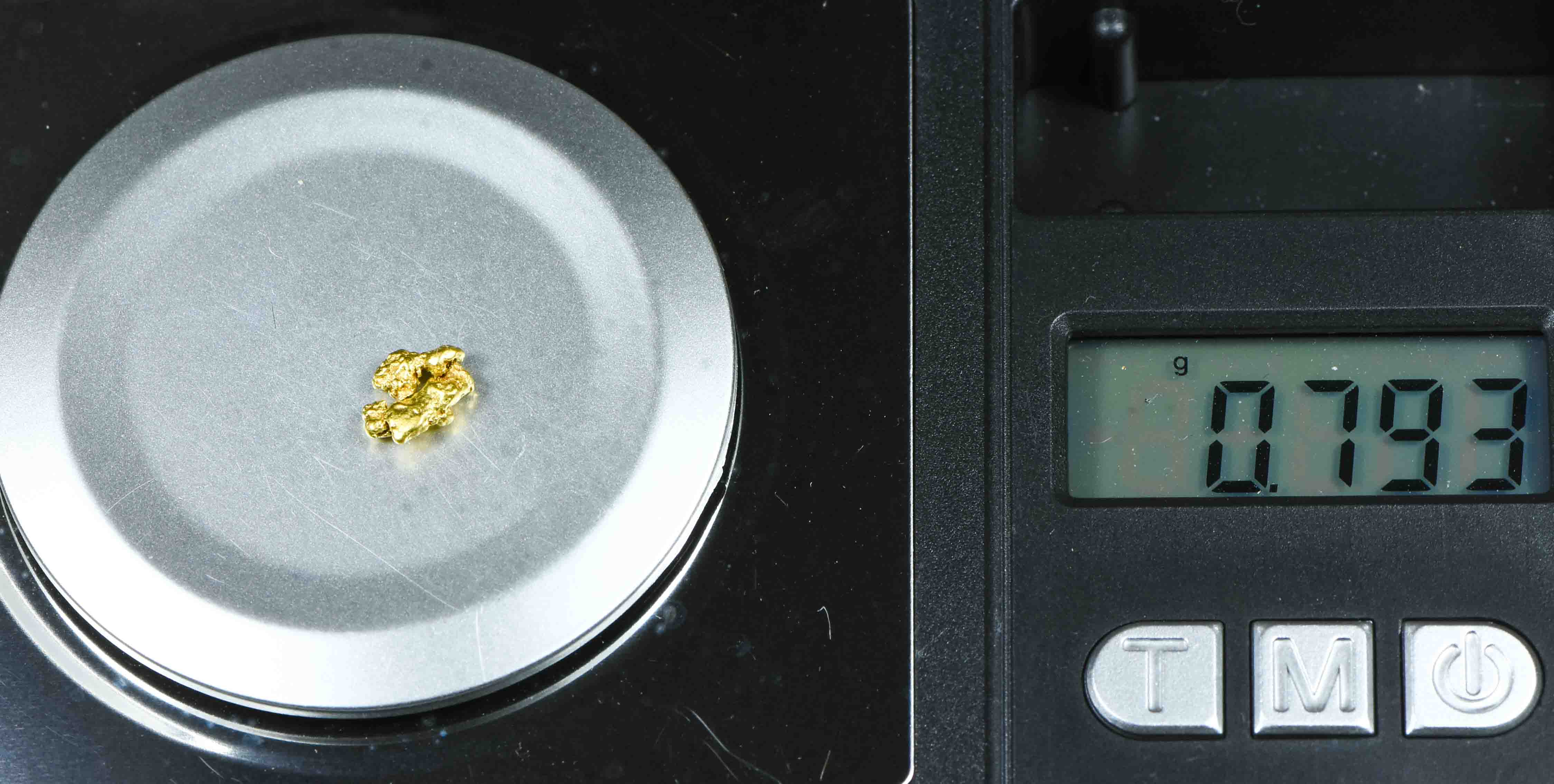 #100 Natural Gold Nugget Montana .79 Grams Genuine