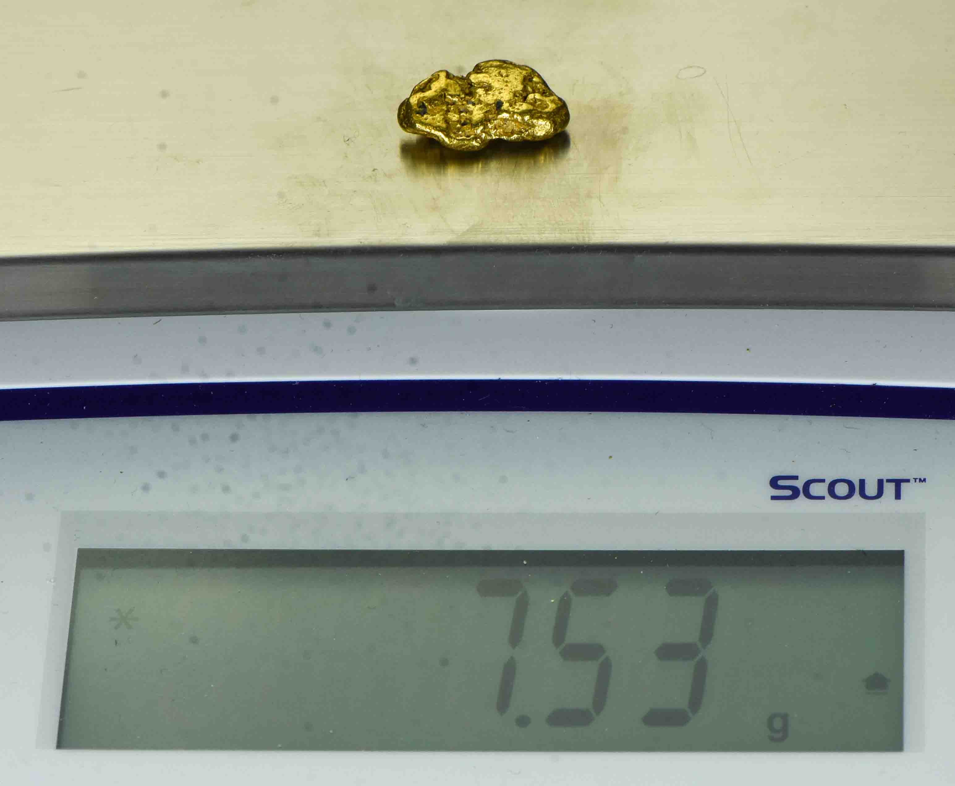 #508 Alaskan BC Natural Gold Nugget 7.53 Grams Genuine