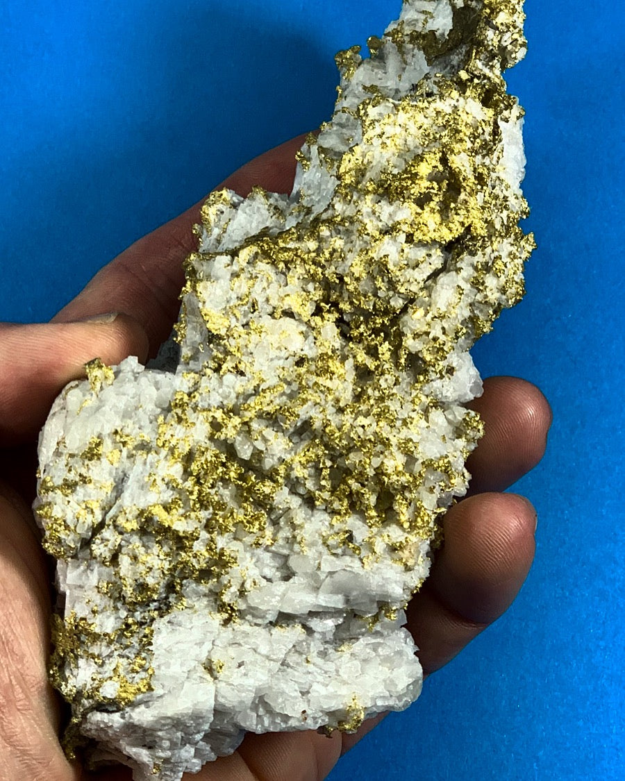 Large Gold Bearing Quartz Specimen Original 16-1 Mine California 1155.92 Grams 37.16 OZ Genuine