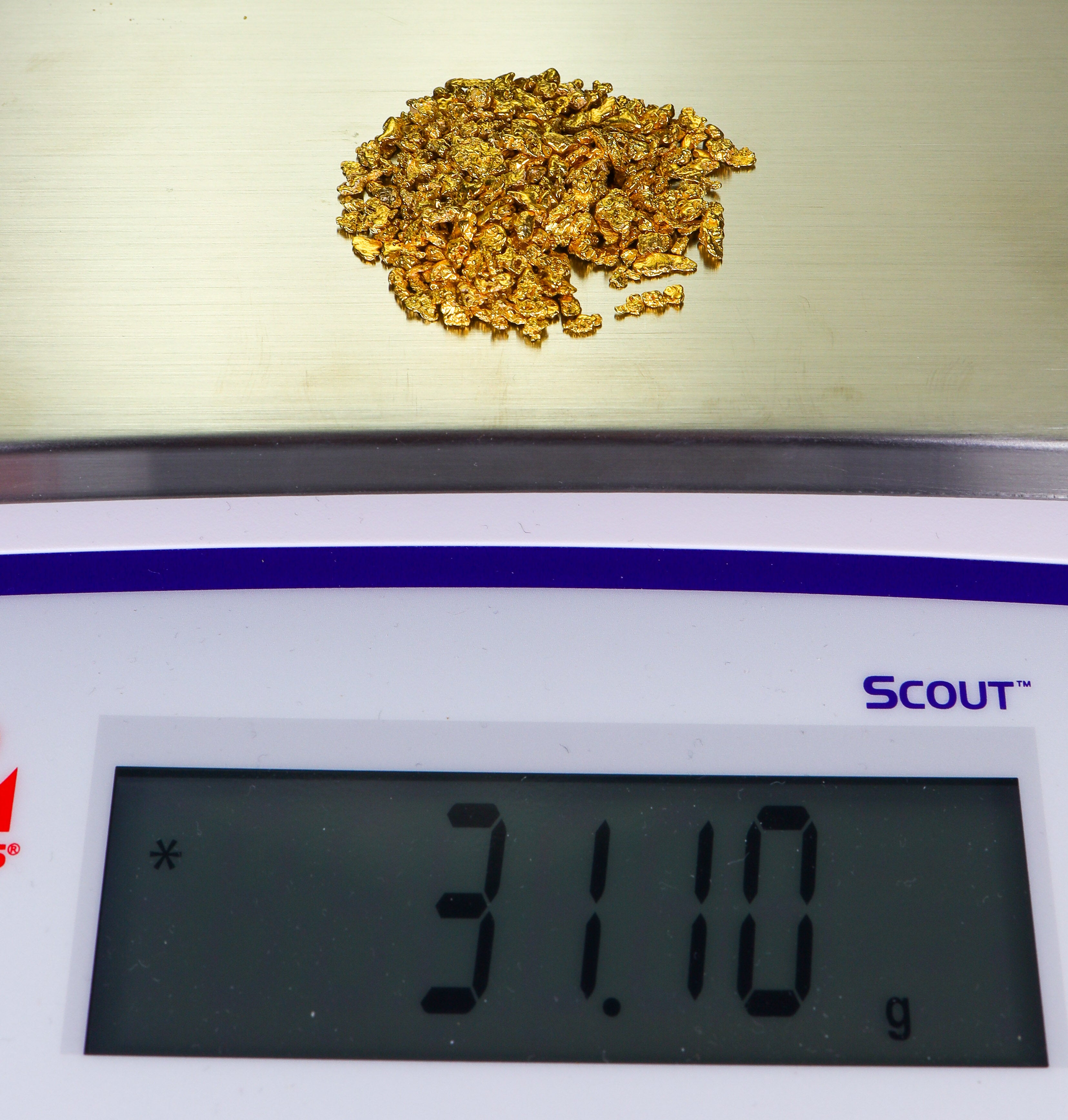 Todd Hoffman's Mammoth Valley Gold Rush Nuggets #25-14 Mesh 31.1 Grams of Fines