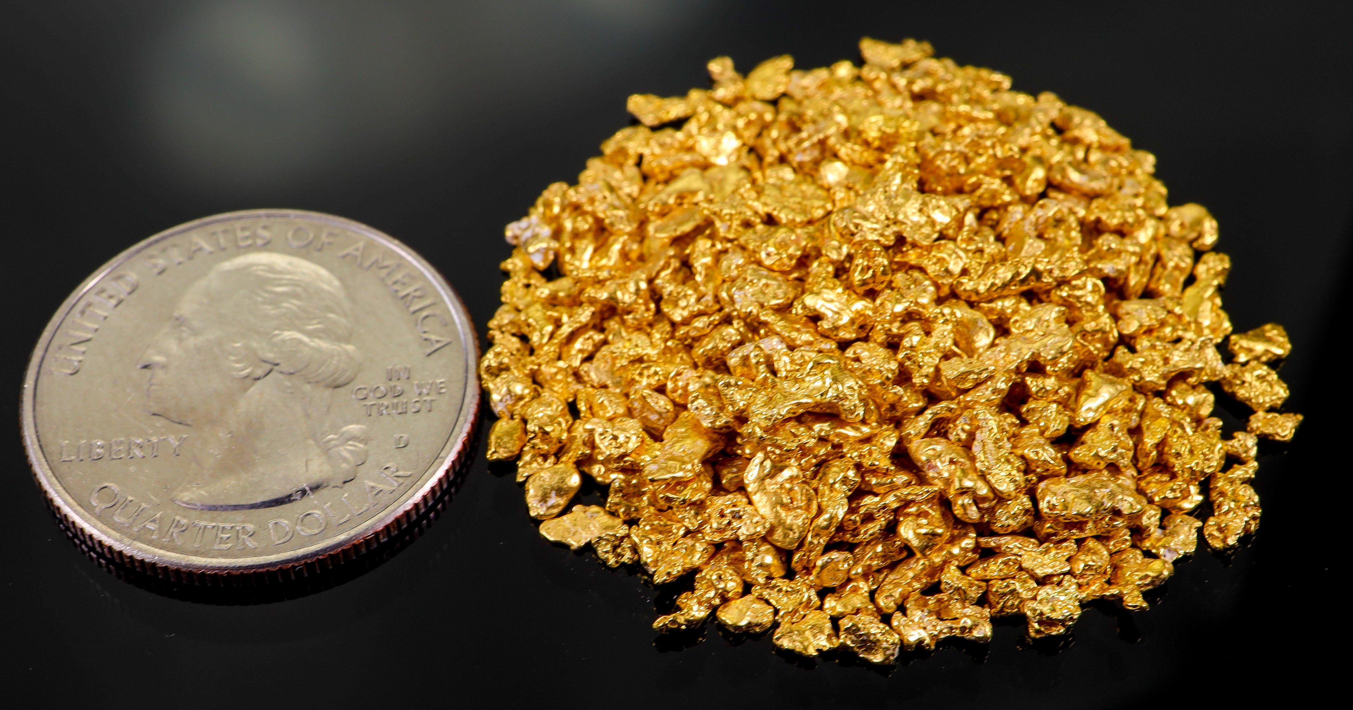 Todd Hoffman's Mammoth Valley Gold Rush Nuggets #25-14 Mesh 31.1 Grams of Fines