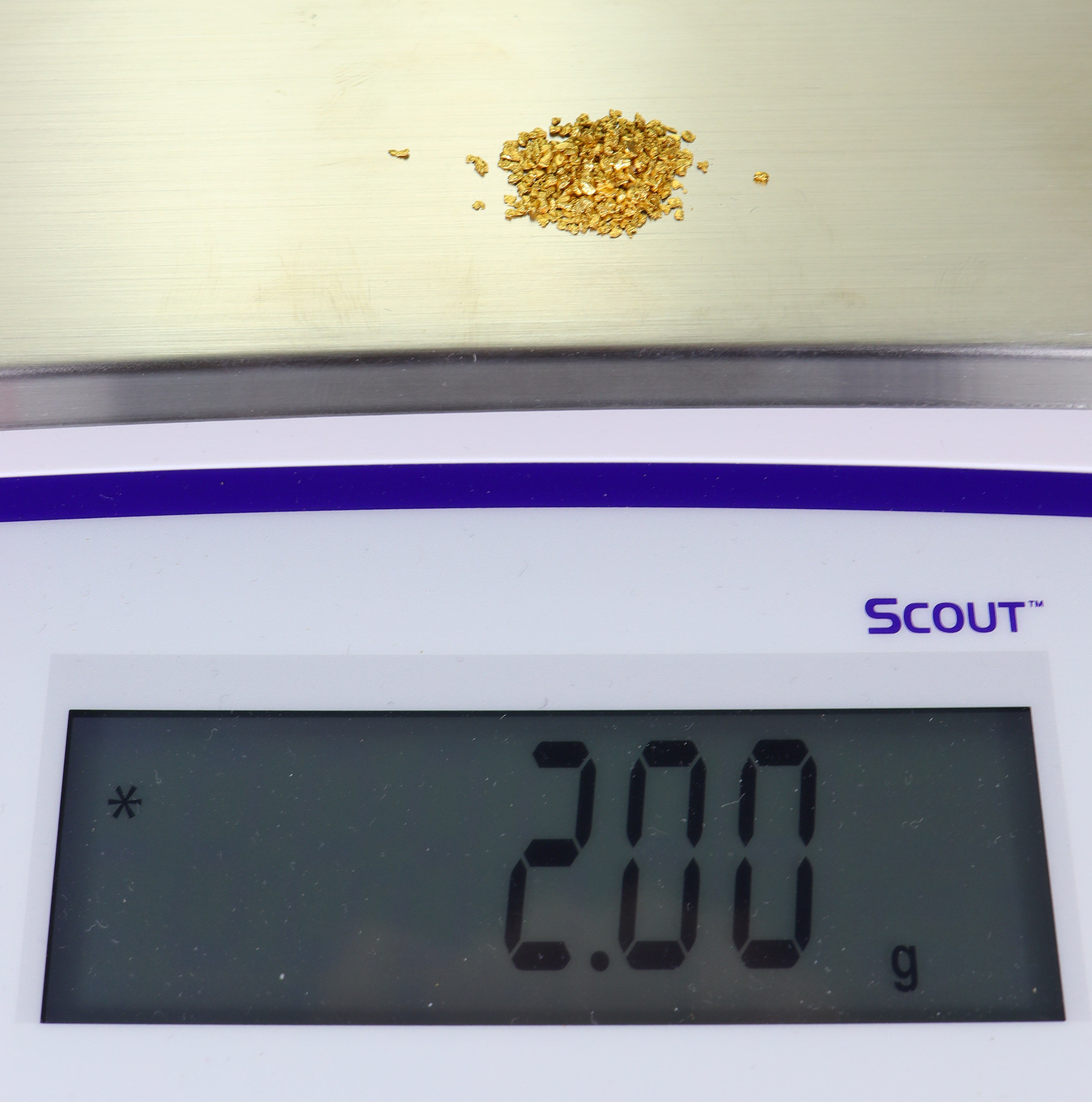 Todd Hoffman's Mammoth Valley Gold Rush Nuggets #25-14 Mesh 2 Grams of Fines