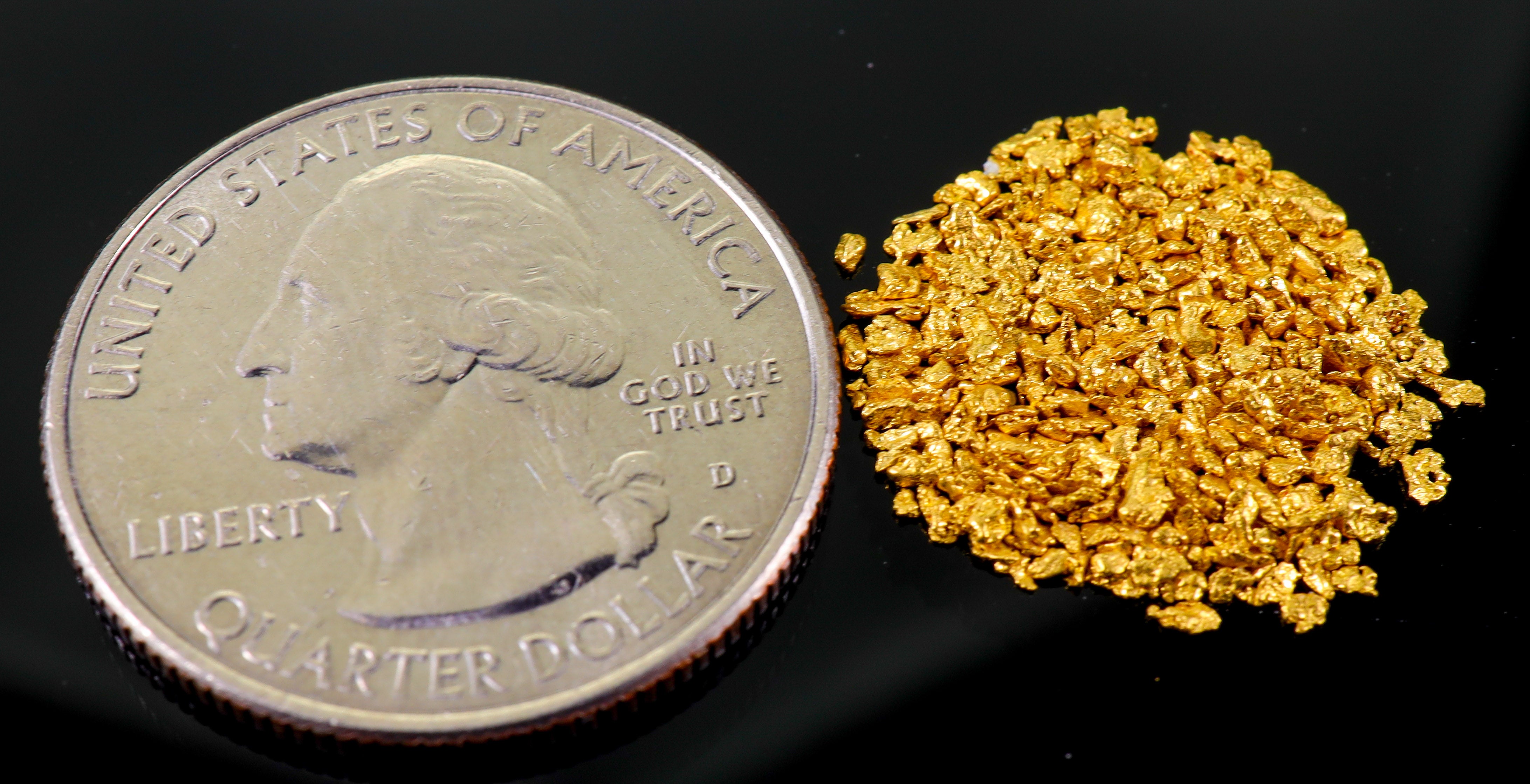 Todd Hoffman's Mammoth Valley Gold Rush Nuggets #25-14 Mesh 2 Grams of Fines