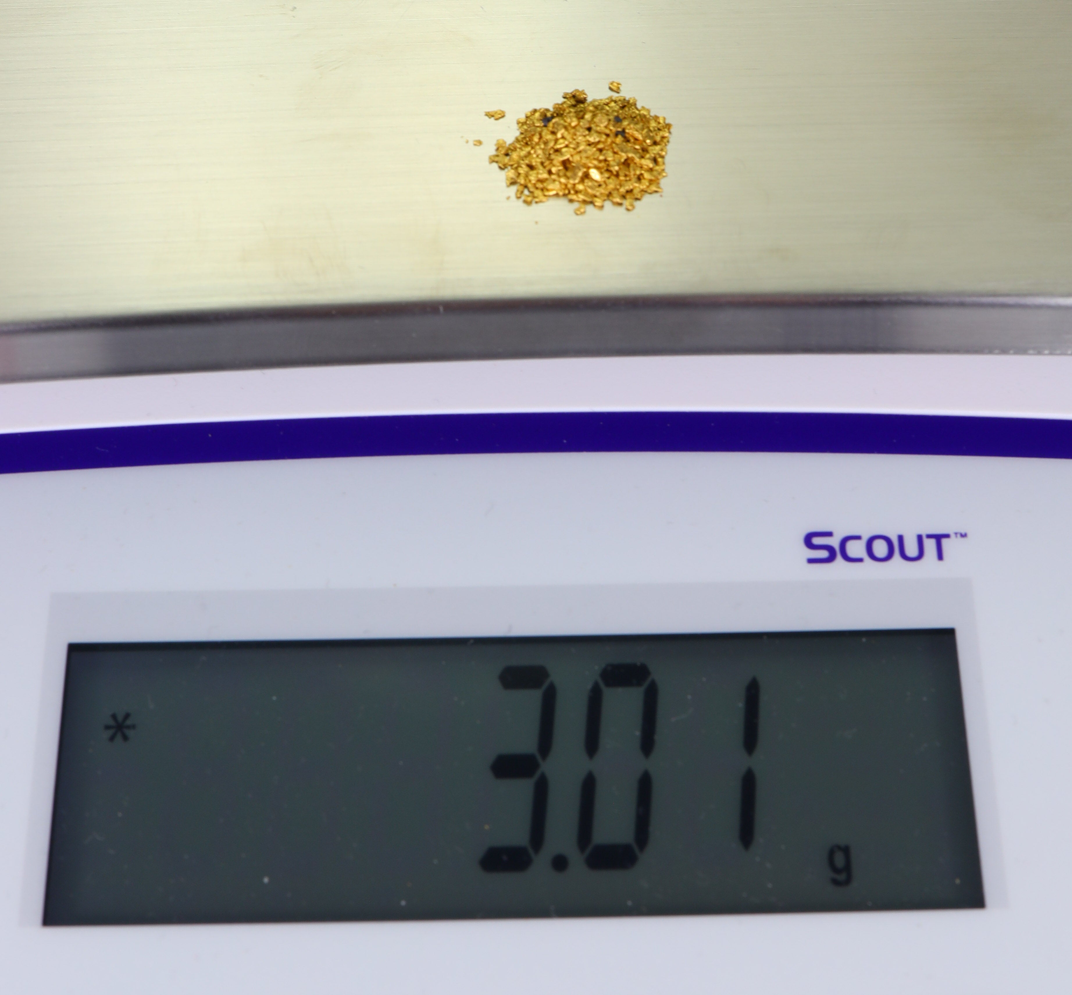 Todd Hoffman's Mammoth Valley Gold Rush Nuggets #25-14 Mesh 3 Grams of Fines