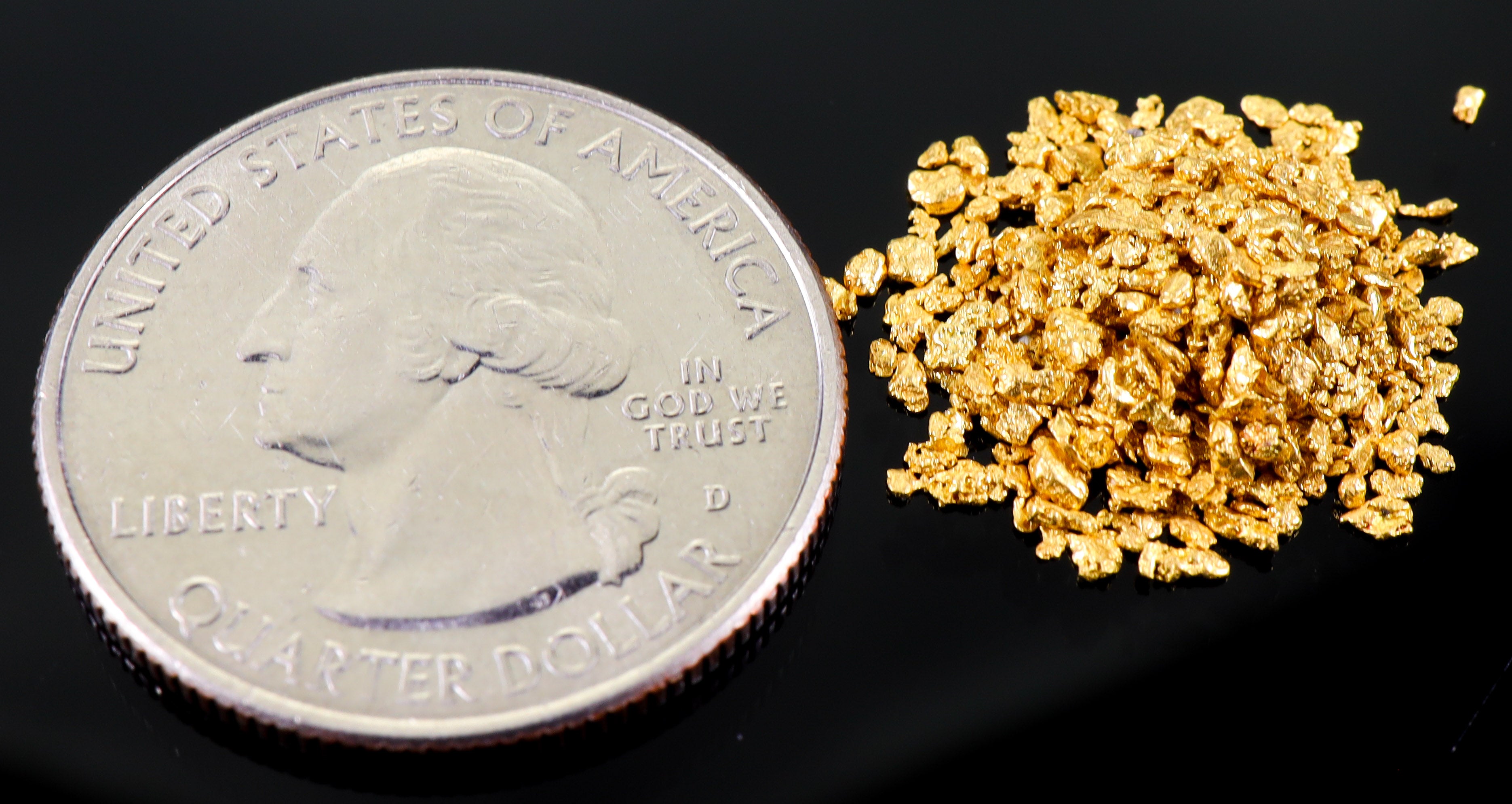 Todd Hoffman's Mammoth Valley Gold Rush Nuggets #25-14 Mesh 3 Grams of Fines