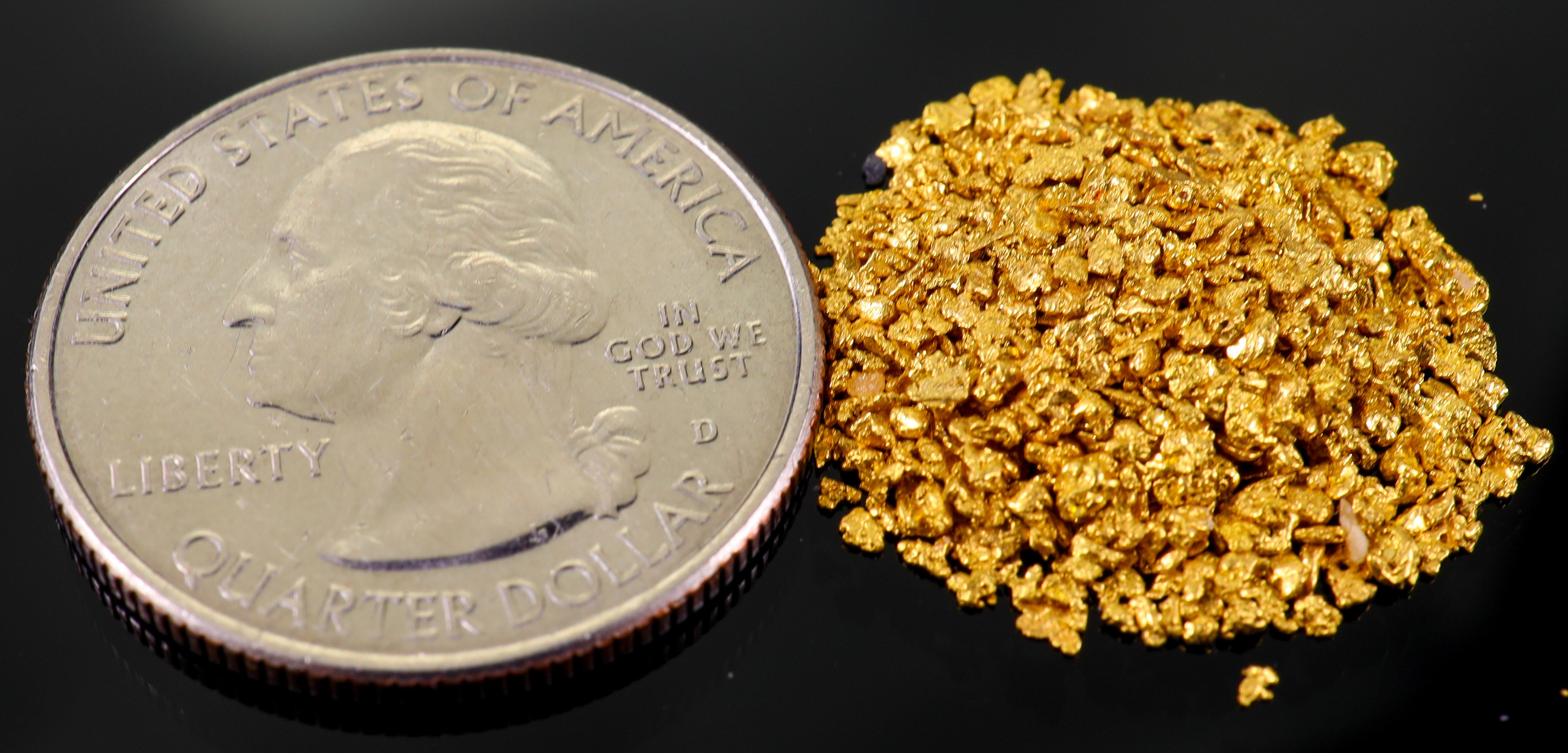 Todd Hoffman's Mammoth Valley Gold Rush Nuggets  #25-14 Mesh 5 Grams of Fines