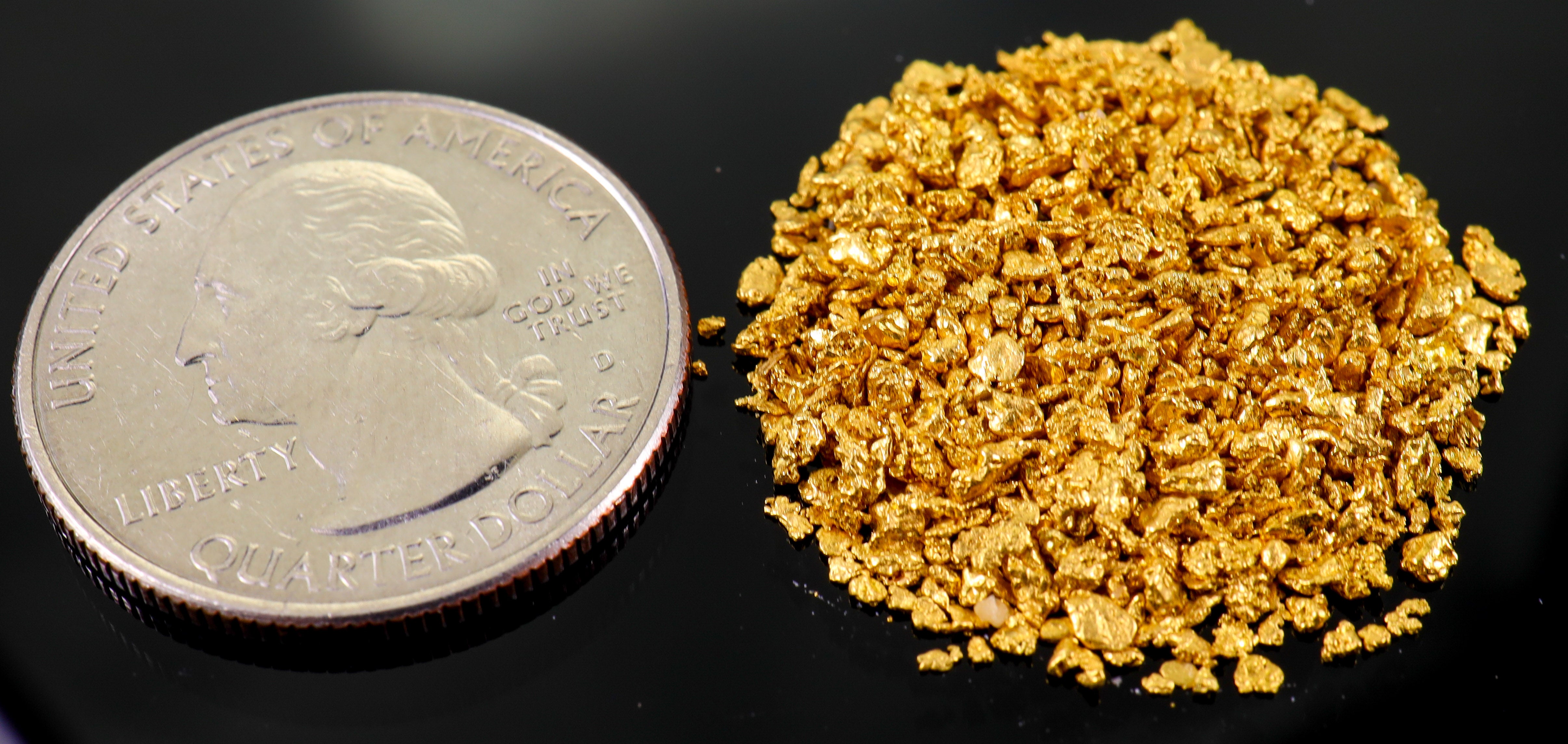 Todd Hoffman's Mammoth Valley Gold Rush Nuggets #25-14 Mesh 10 Grams of Fines