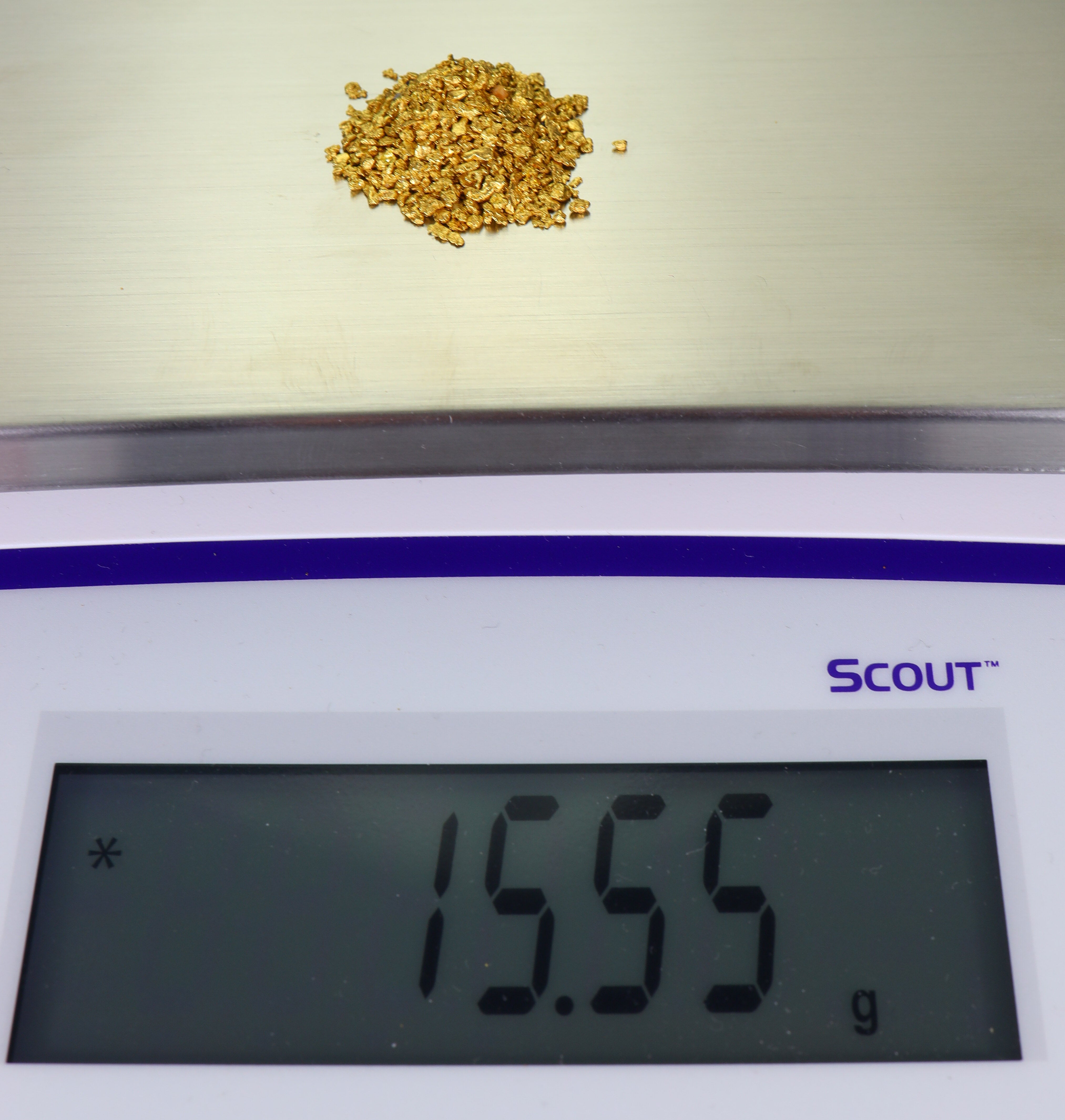 Todd Hoffman's Mammoth Valley Gold Rush Nuggets #25-14 Mesh 15.55 Grams of Fines