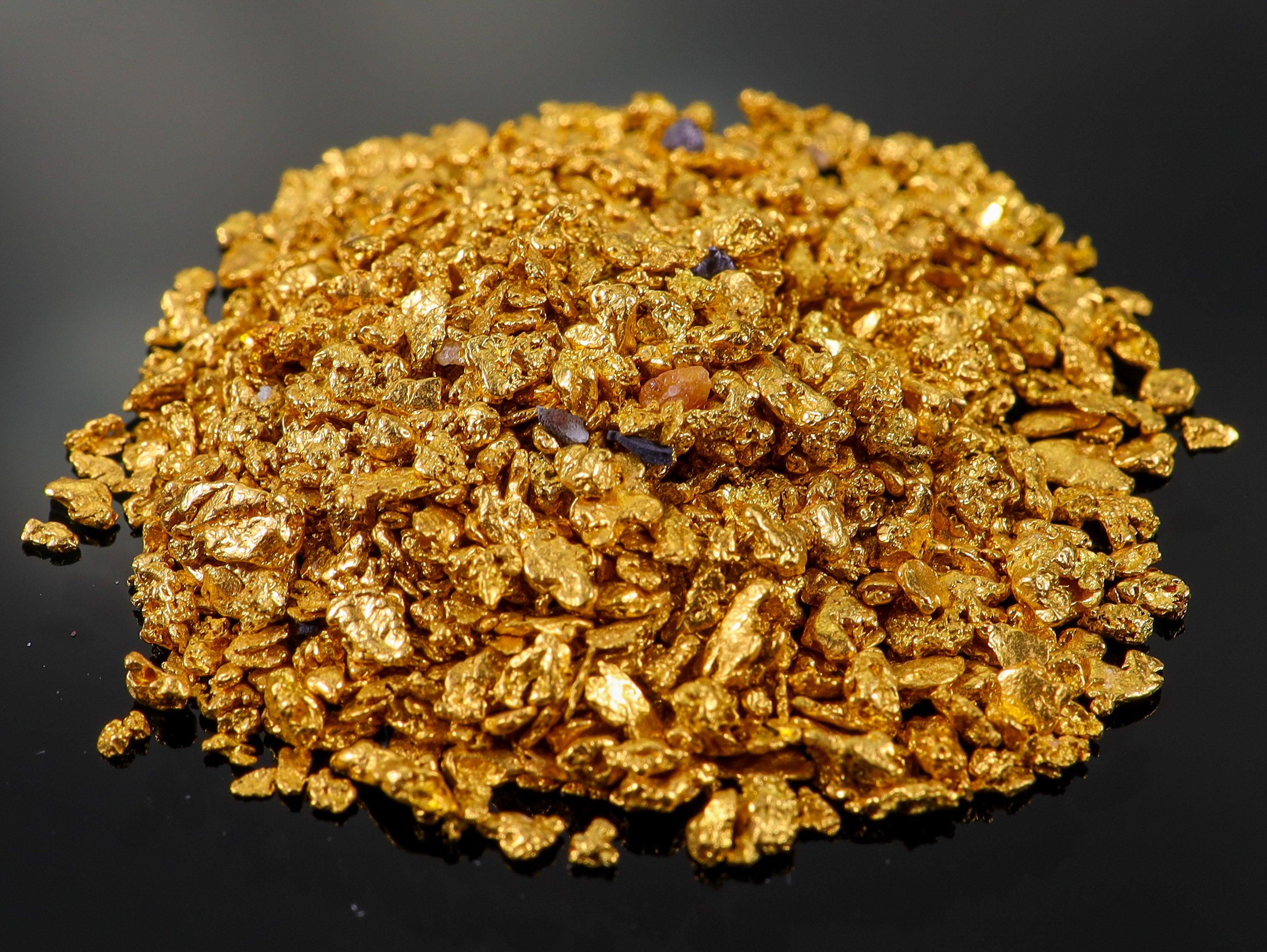 Todd Hoffman's Mammoth Valley Gold Rush Nuggets #25-14 Mesh 15.55 Grams of Fines