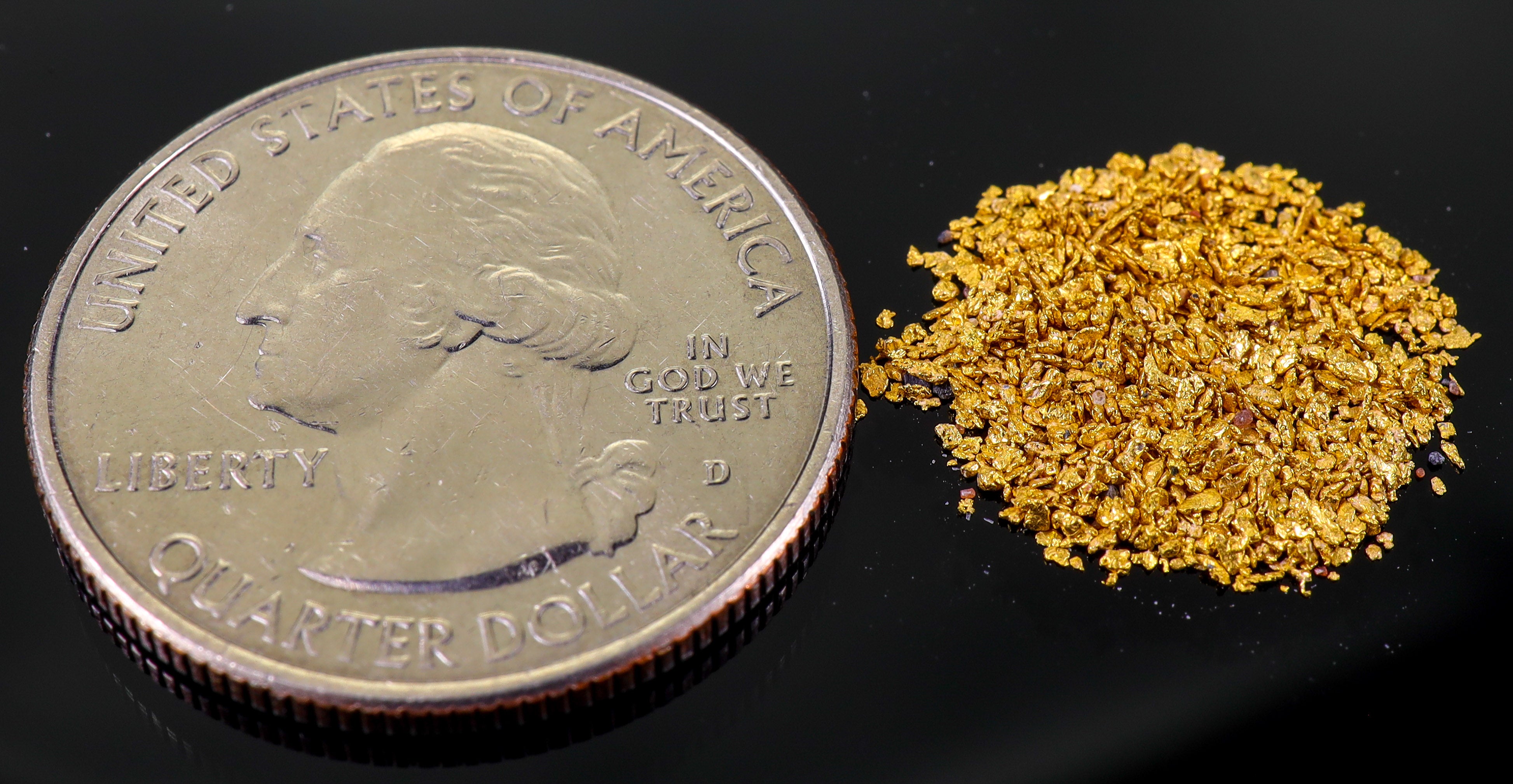 Todd Hoffman's Mammoth Valley Gold Rush Nuggets #50-30 Mesh 1 Gram of Fines