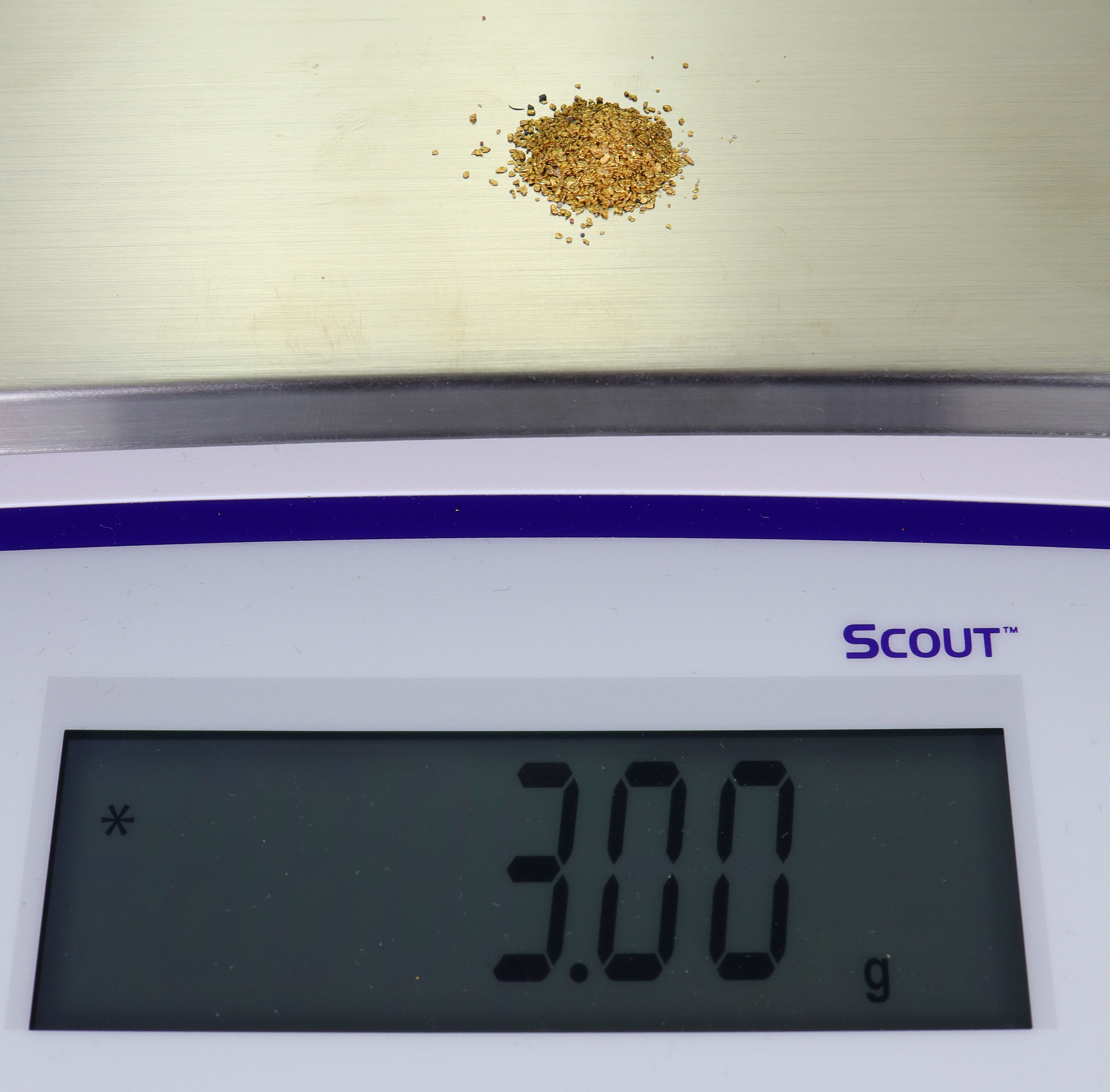 Todd Hoffman's Mammoth Valley Gold Rush Nuggets  #50-30 Mesh 3 Grams of Fines