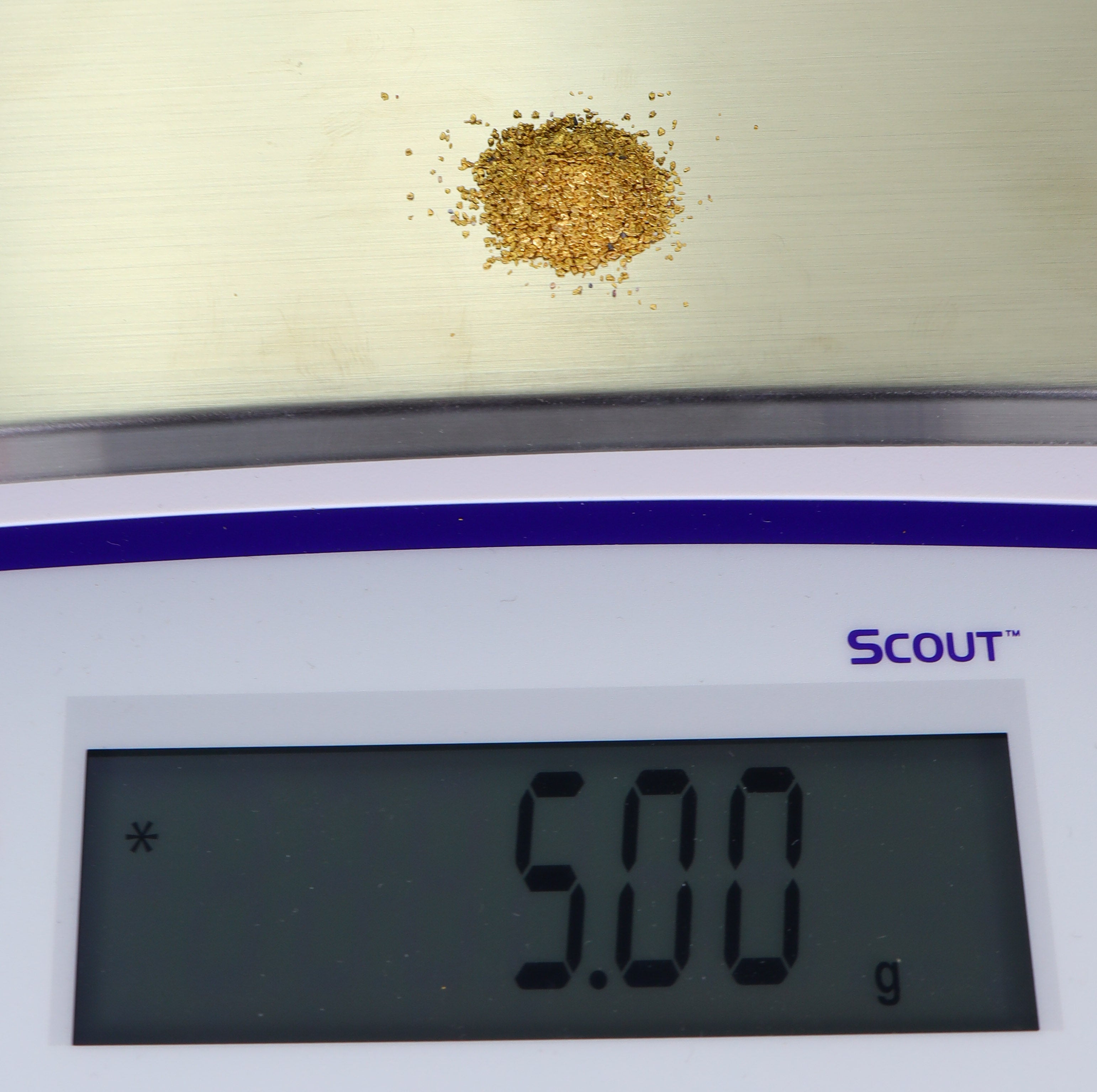 Todd Hoffman's Mammoth Valley Gold Rush Nuggets  #50-30 Mesh 5 Grams of Fines