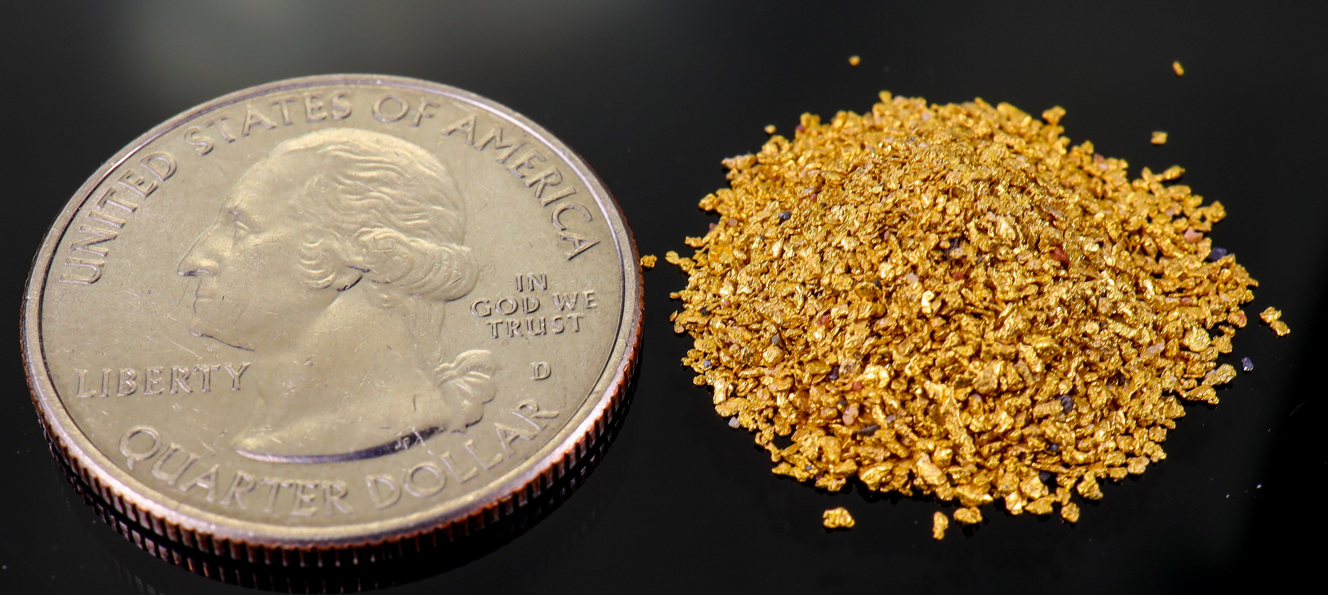 Todd Hoffman's Mammoth Valley Gold Rush Nuggets  #50-30 Mesh 5 Grams of Fines