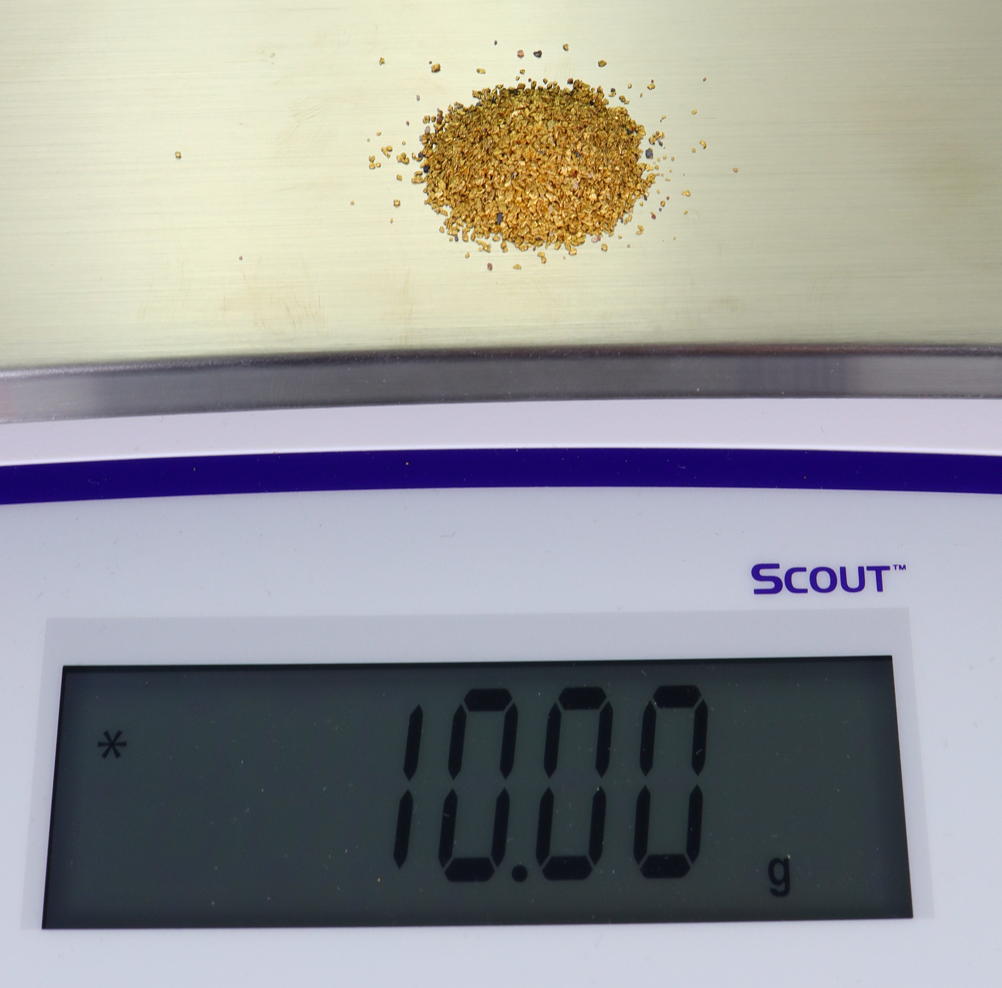 Todd Hoffman's Mammoth Valley Gold Rush Nuggets  #50-30 Mesh 10 Grams of Fines