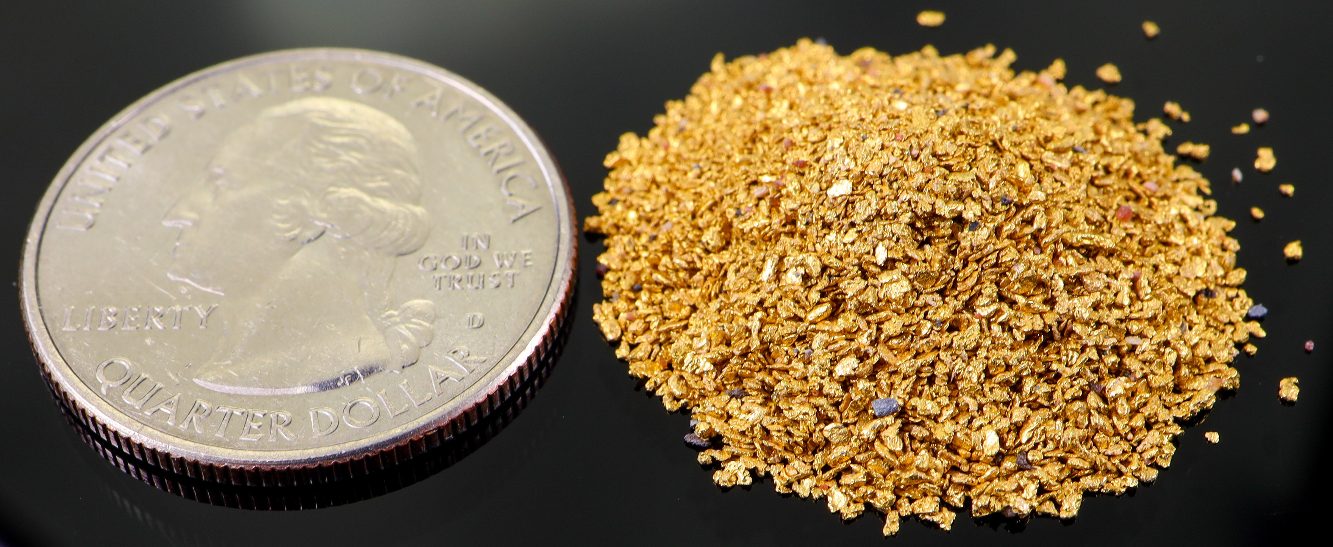Todd Hoffman's Mammoth Valley Gold Rush Nuggets  #50-30 Mesh 10 Grams of Fines