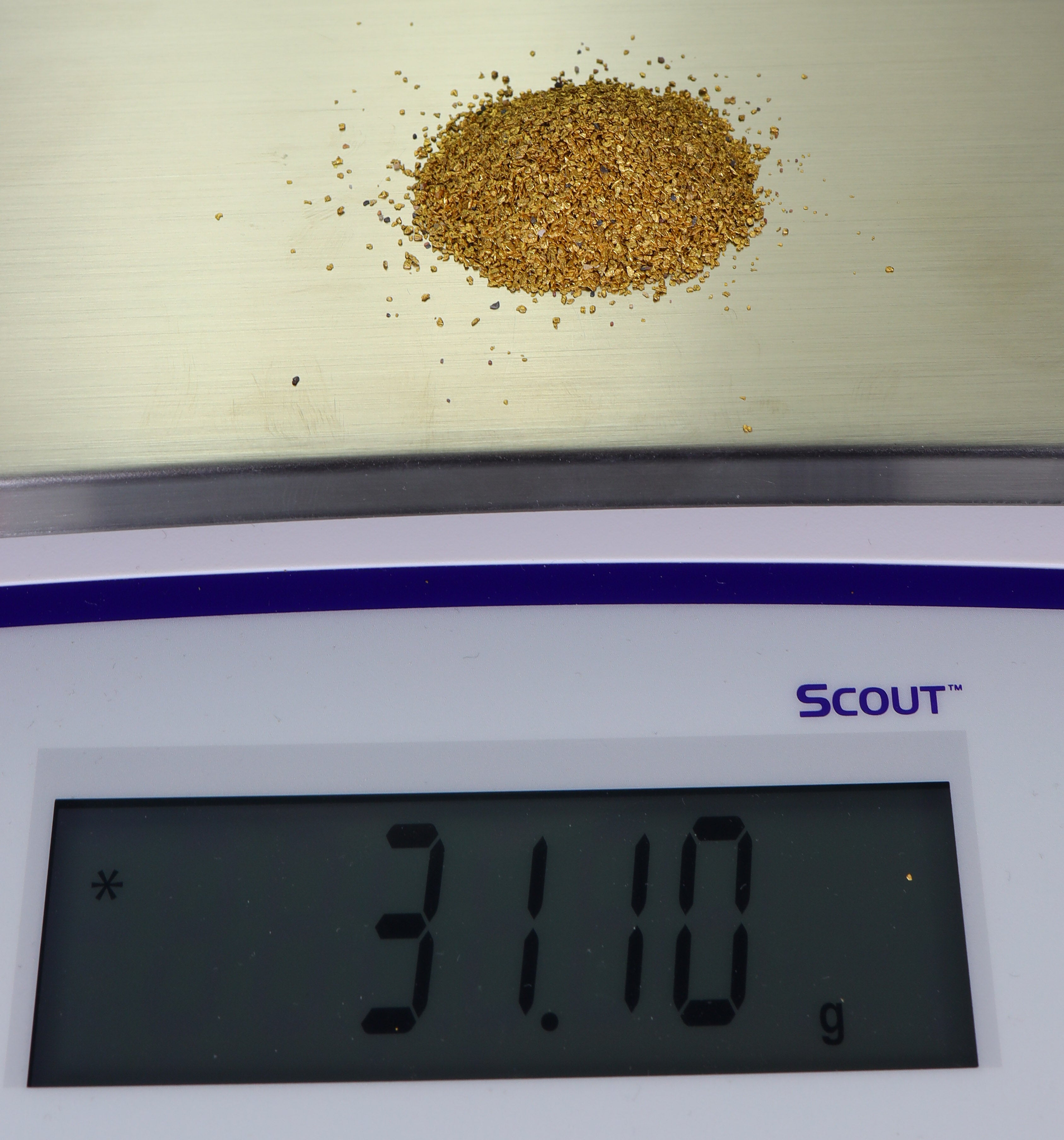 Todd Hoffman's Mammoth Valley Gold Rush Nuggets  #50-30 Mesh 31.1 Grams of Fines