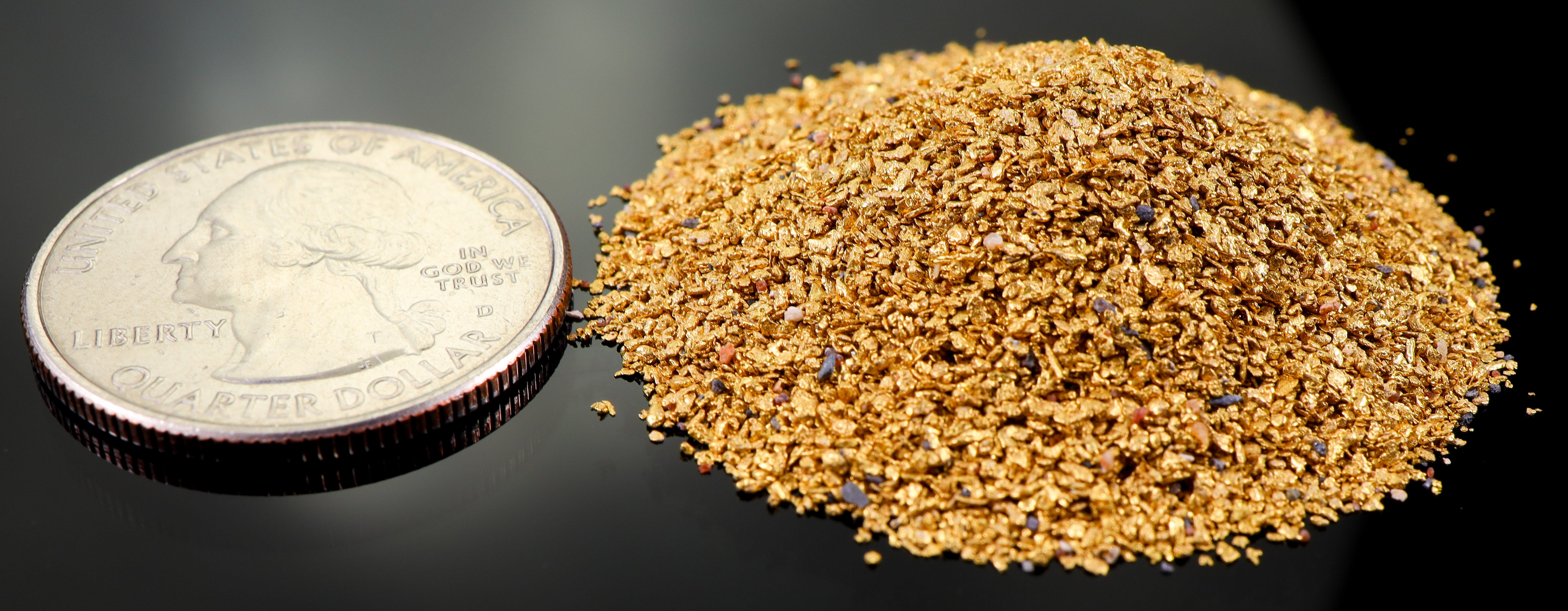 Todd Hoffman's Mammoth Valley Gold Rush Nuggets  #50-30 Mesh 31.1 Grams of Fines