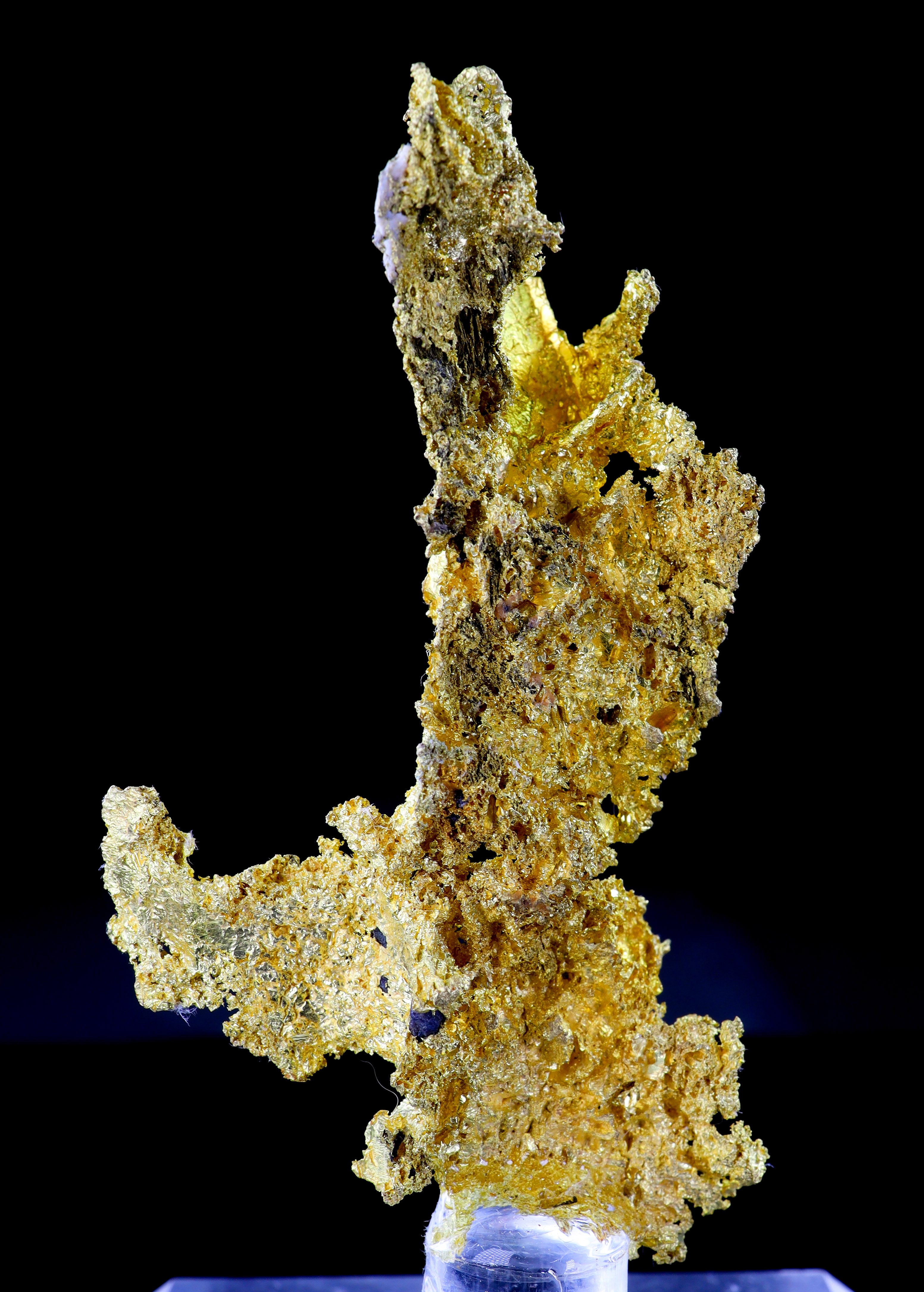 Crystalline Gold Nugget Specimen 37.41 Grams Mocking Bird Mine Mariposa County California Rare