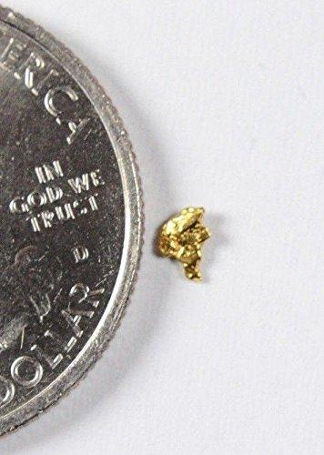 Alaskan-Yukon Bc Gold Rush Natural Nugget 0.12 Grams Genuine Alaska .10-.34