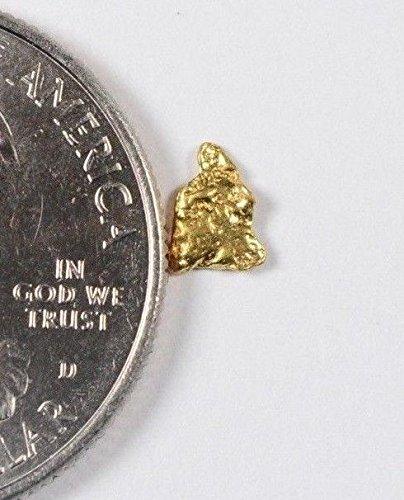 Alaskan-Yukon Bc Gold Rush Natural Nugget 0.16 Grams Genuine Alaska .10-.34