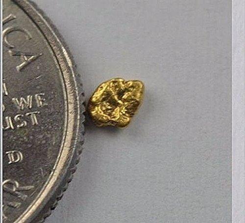 Alaskan-Yukon Bc Gold Rush Natural Nugget 0.10 Grams Genuine Alaska .10-.34