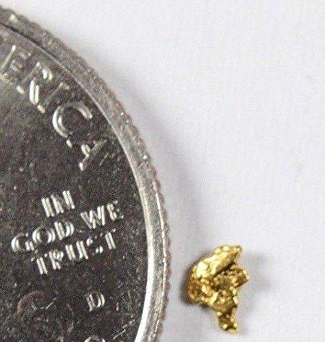 Alaskan-Yukon Bc Gold Rush Natural Nugget 0.12 Grams Genuine Alaska .10-.34