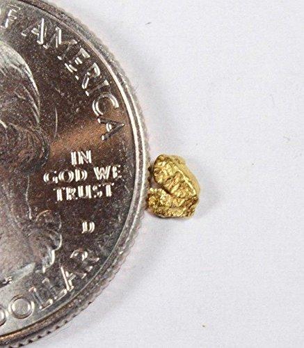 Alaskan-Yukon Bc Gold Rush Natural Nugget 0.10 Grams Genuine Alaska .10-.34