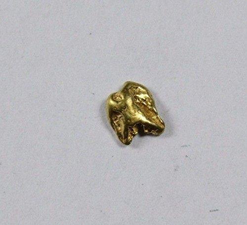 Alaskan Gold Nugget Genuine Yukon Small 22k .1g Fine – rocksolidfossils