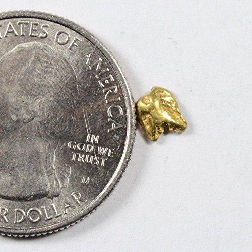 Alaskan-Yukon Bc Gold Rush Natural Nugget 0.13 Grams Genuine Alaska .10-.34