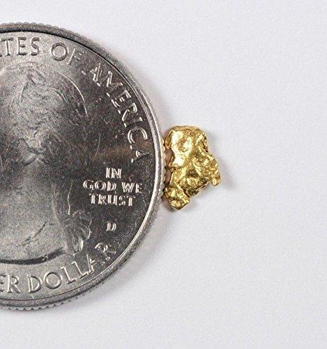 Alaskan-Yukon Bc Gold Rush Natural Nugget 0.30 Grams Genuine Alaska .10-.34