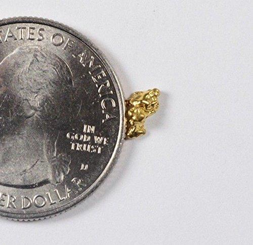Alaskan-Yukon Bc Gold Rush Natural Nugget 0.23 Grams Genuine Alaska .10-.34