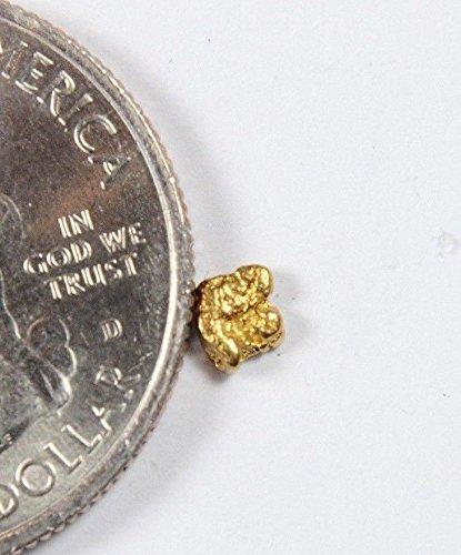 Alaskan-Yukon Bc Gold Rush Natural Nugget 0.17 Grams Genuine Alaska .10-.34