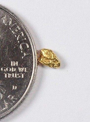 Alaskan-Yukon Bc Gold Rush Natural Nugget 0.18 Grams Genuine Alaska .10-.34