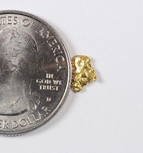 Alaskan-Yukon Bc Gold Rush Natural Nugget 0.29 Grams Genuine Alaska .10-.34