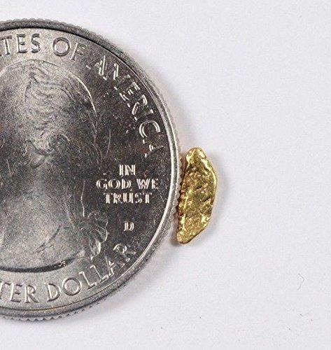 Alaskan-Yukon Bc Gold Rush Natural Nugget 0.20 Grams Genuine Alaska .10-.34